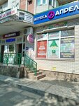 SHARlin (Kommunisticheskaya Street, 81) ، تنظيم الأحداث
