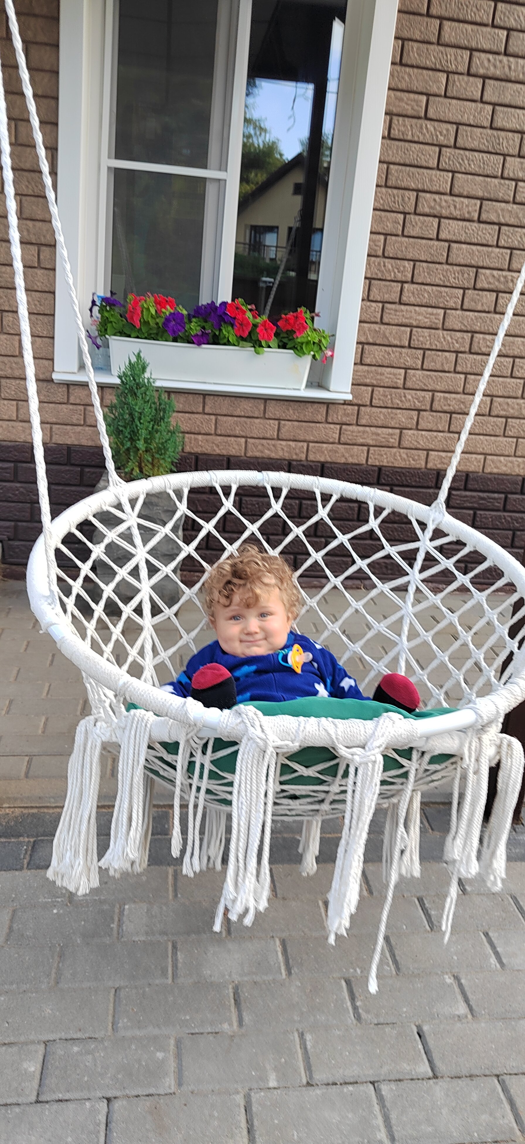 Фото Сосновая сказка