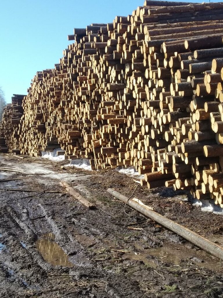 Пиломатериалы Деревянный остров, Анапа, фото