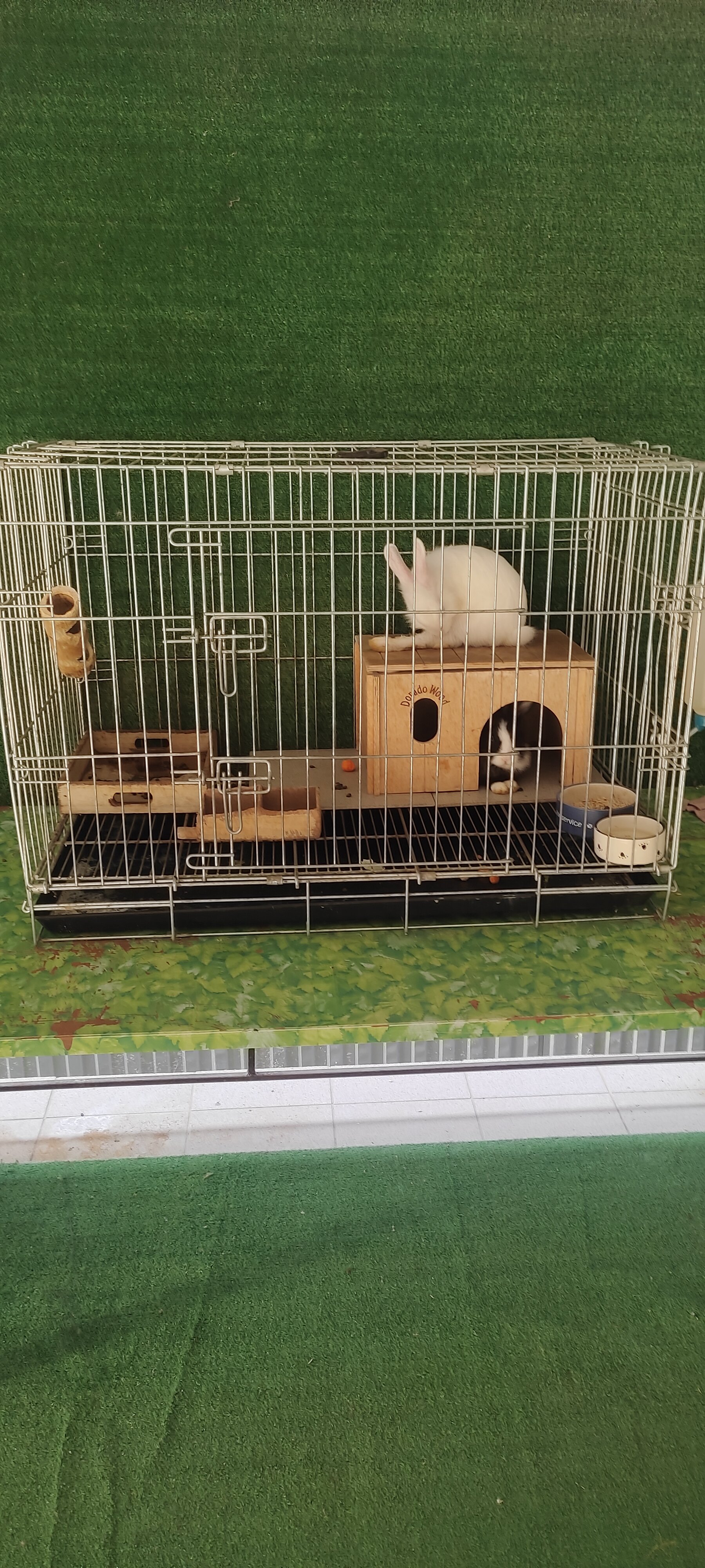 Фото Александрия 56