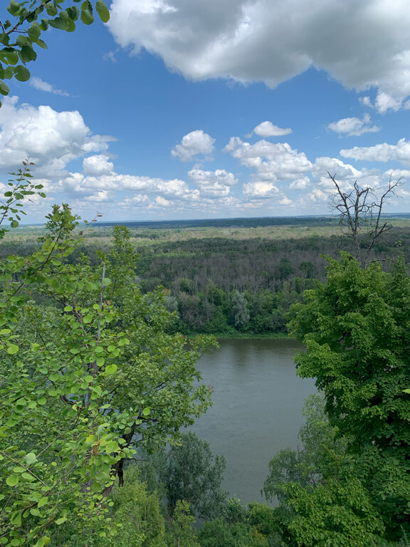 Фото Тихие Дивы