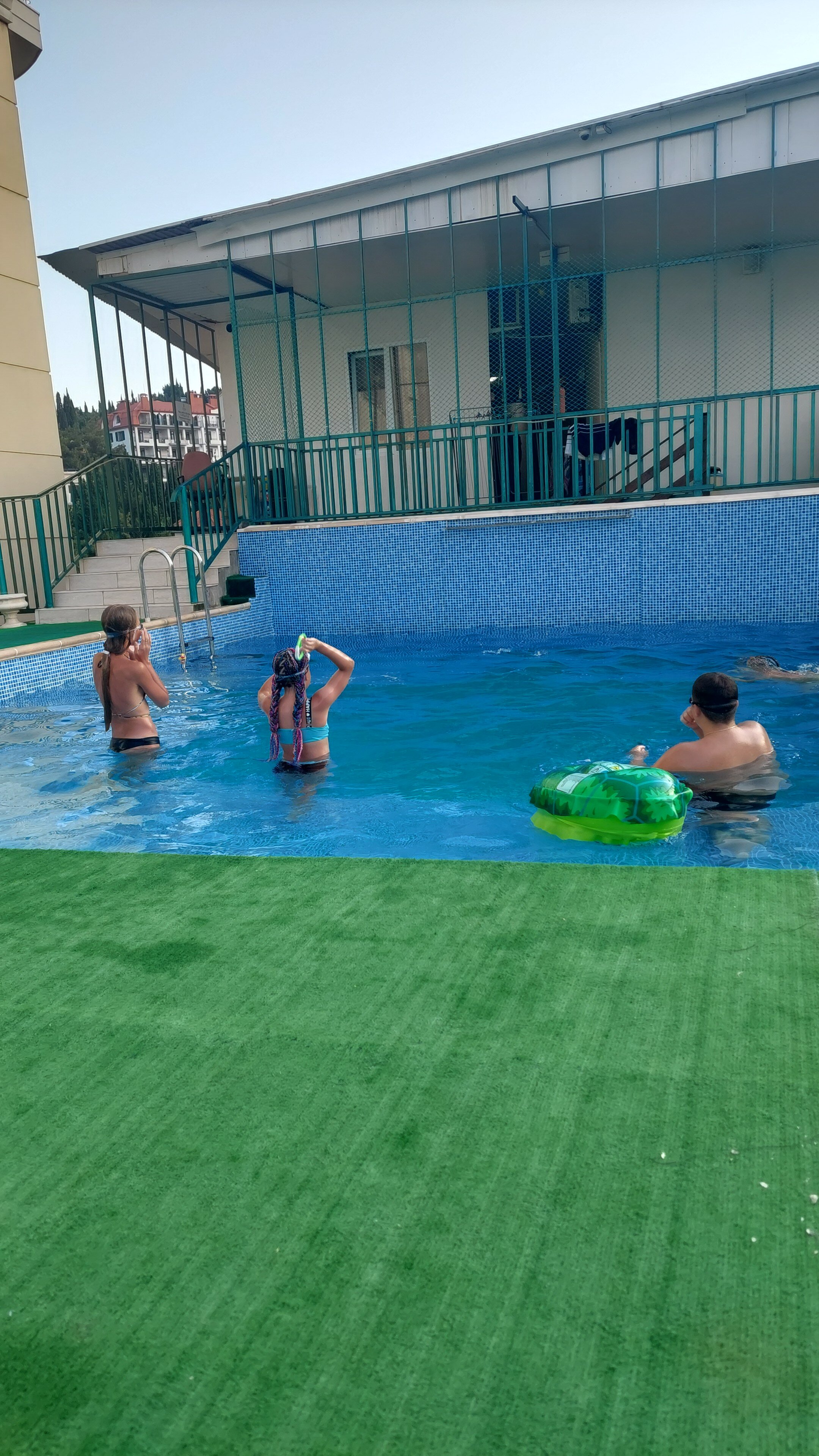 Фото Цитрус