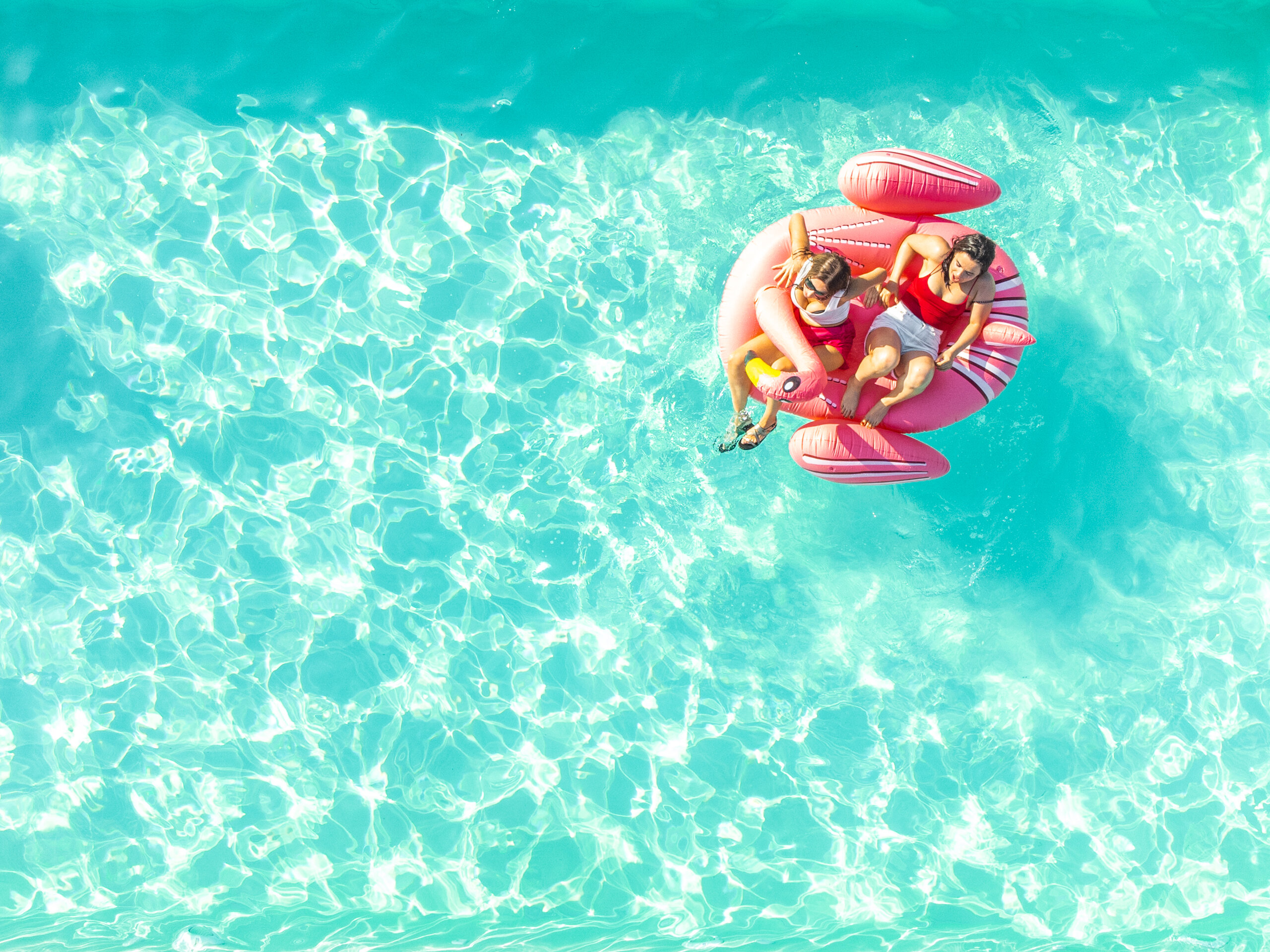 Фото Фазенда