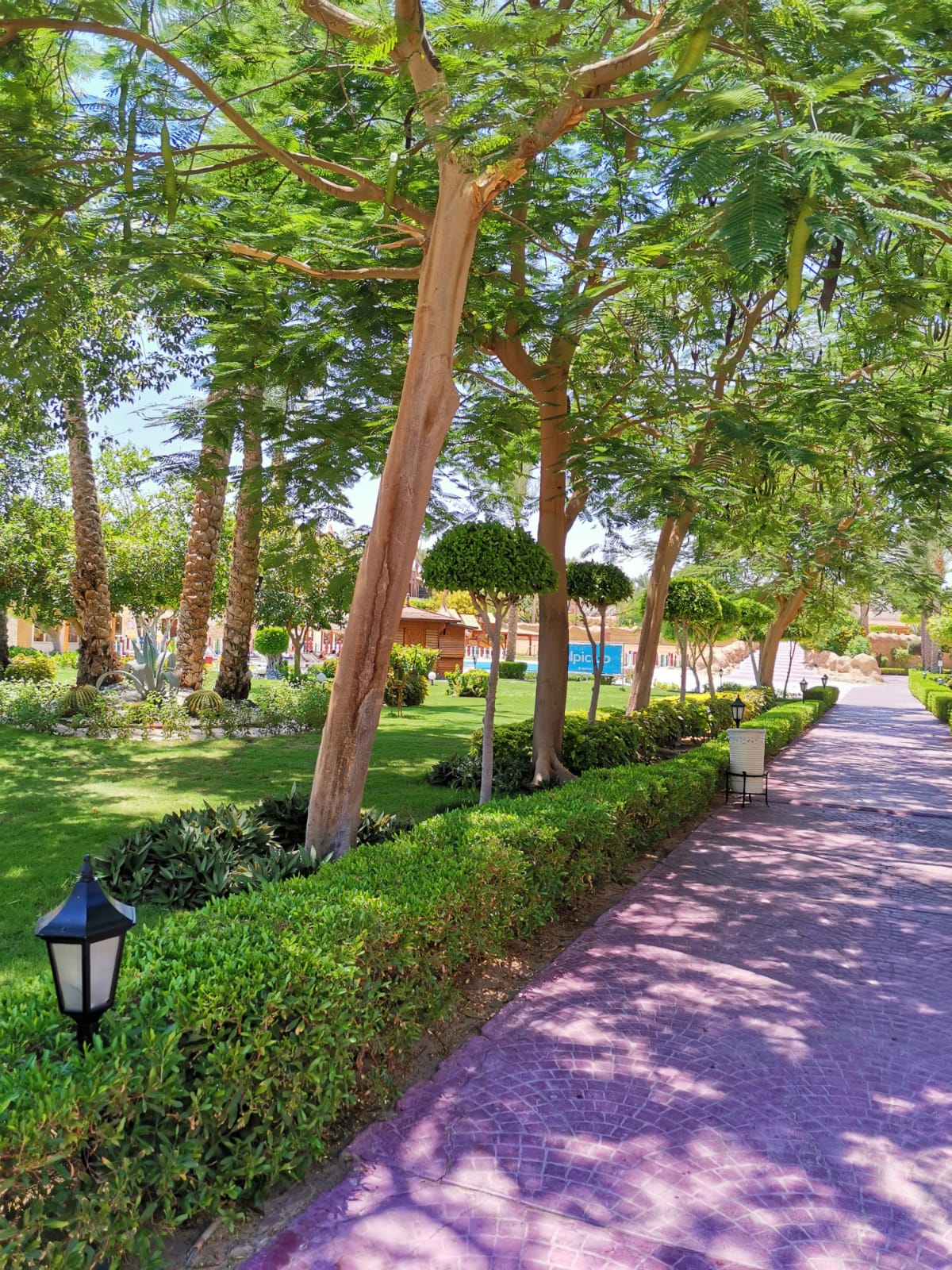 Фото Sharm Grand Plaza