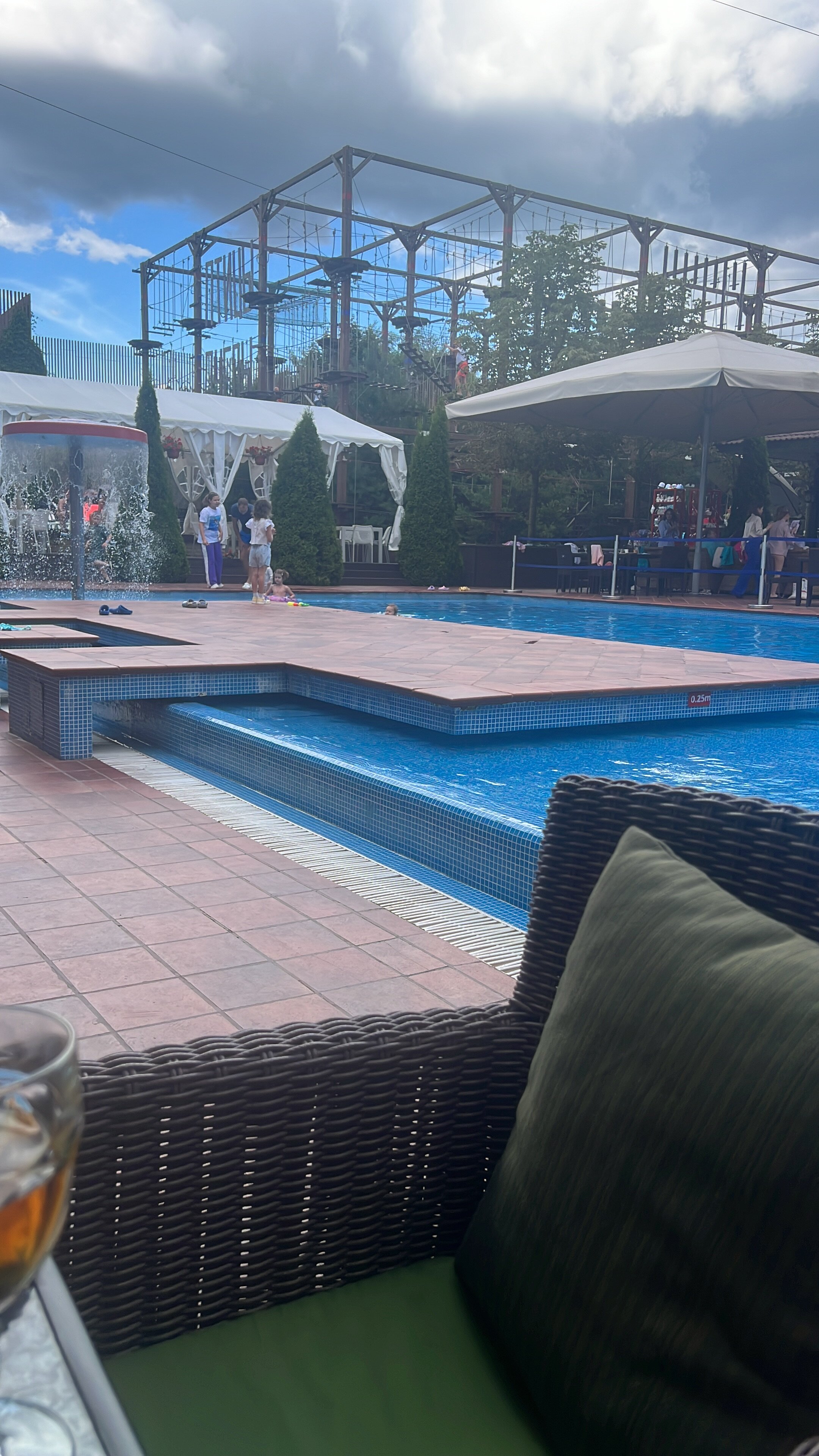 Фото Птицы и пчелы