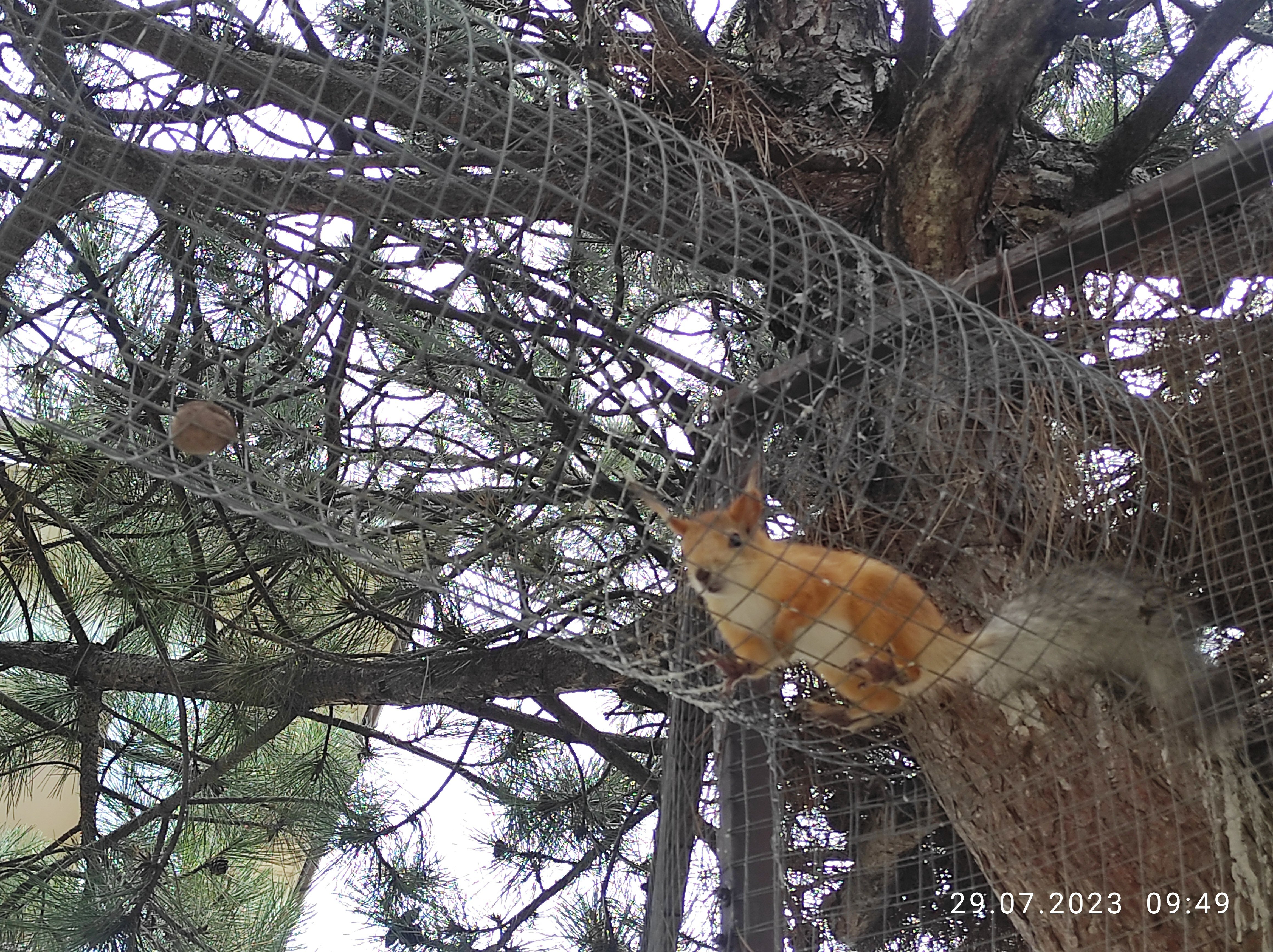 Фото Яркий берег