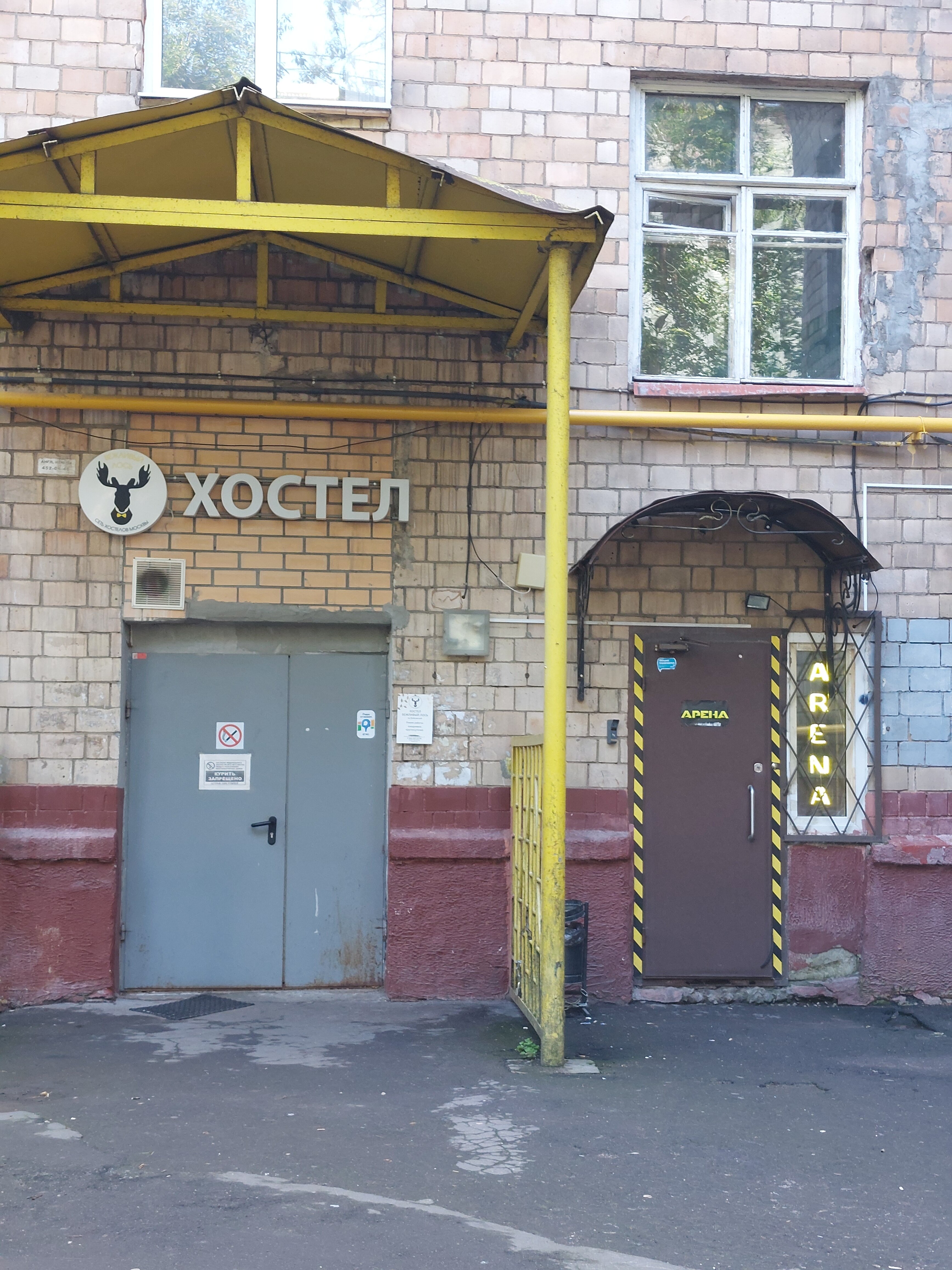 Фото Вежливый лось