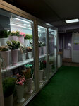 FleurÀria (Открытое ш., 17, стр. 13, Москва), магазин цветов в Москве