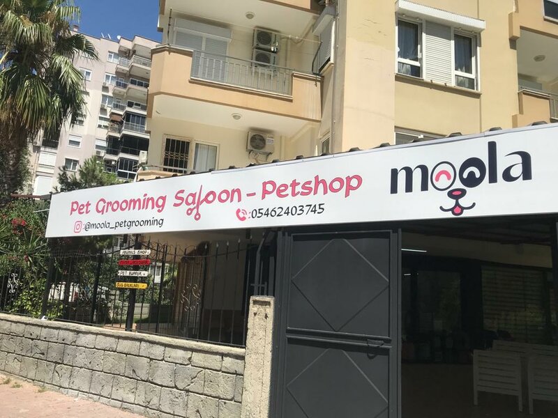 Pet shop on sale and grooming