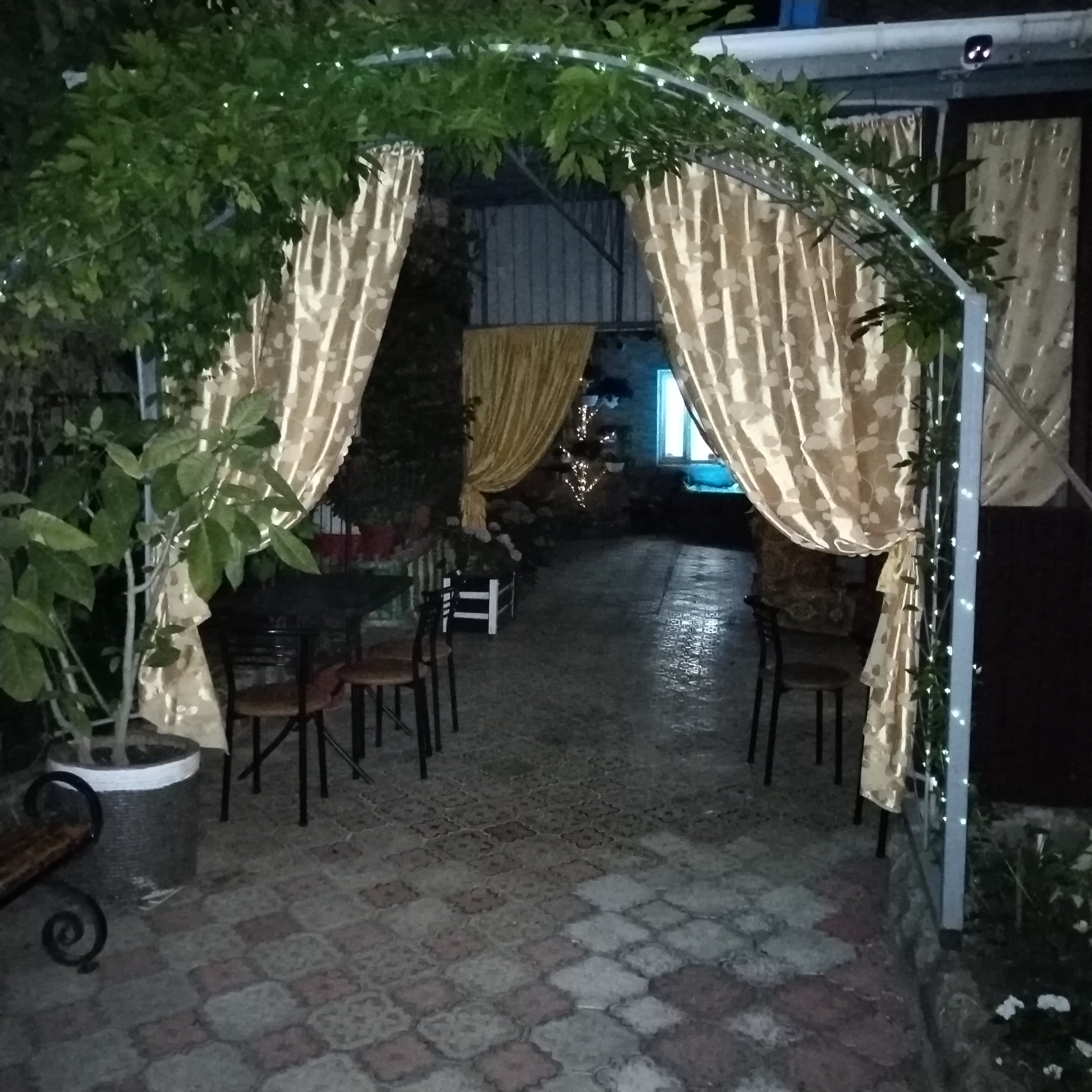 Фото У Петровича