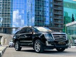 ProkatAvto (Tsentralniy Microdistrict, Roz Street, 117), car rental