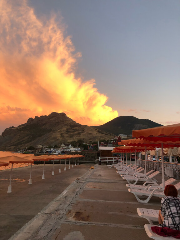 Фото Фламинго