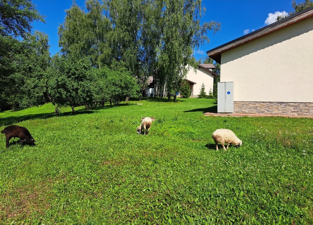 Фото Arthurs SPA Hotel by Mercure