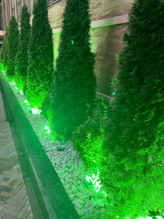 Фото Атриум