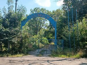 Memorial site, local landmark Бывший пионерлагерь Восход, Voronezh Oblast, photo