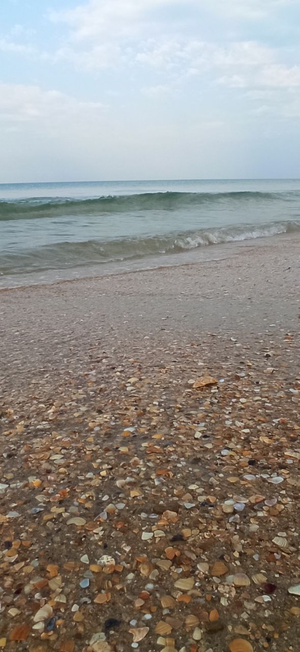 Фото Аттика