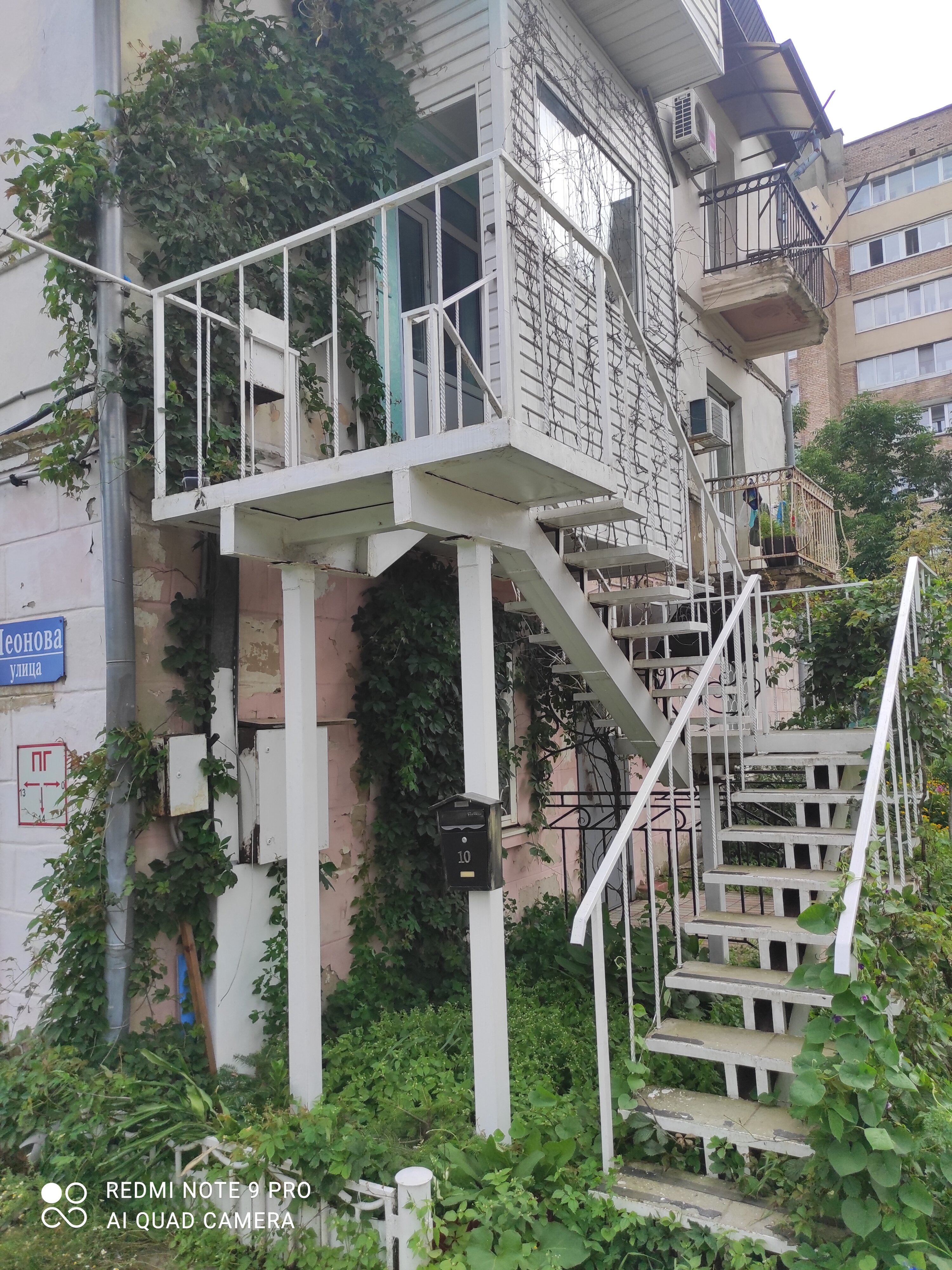 Фото Зелёная Лампа