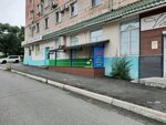 АллеЯ (Leninskaya Street, 20) ، متجر أدوات مكتبية