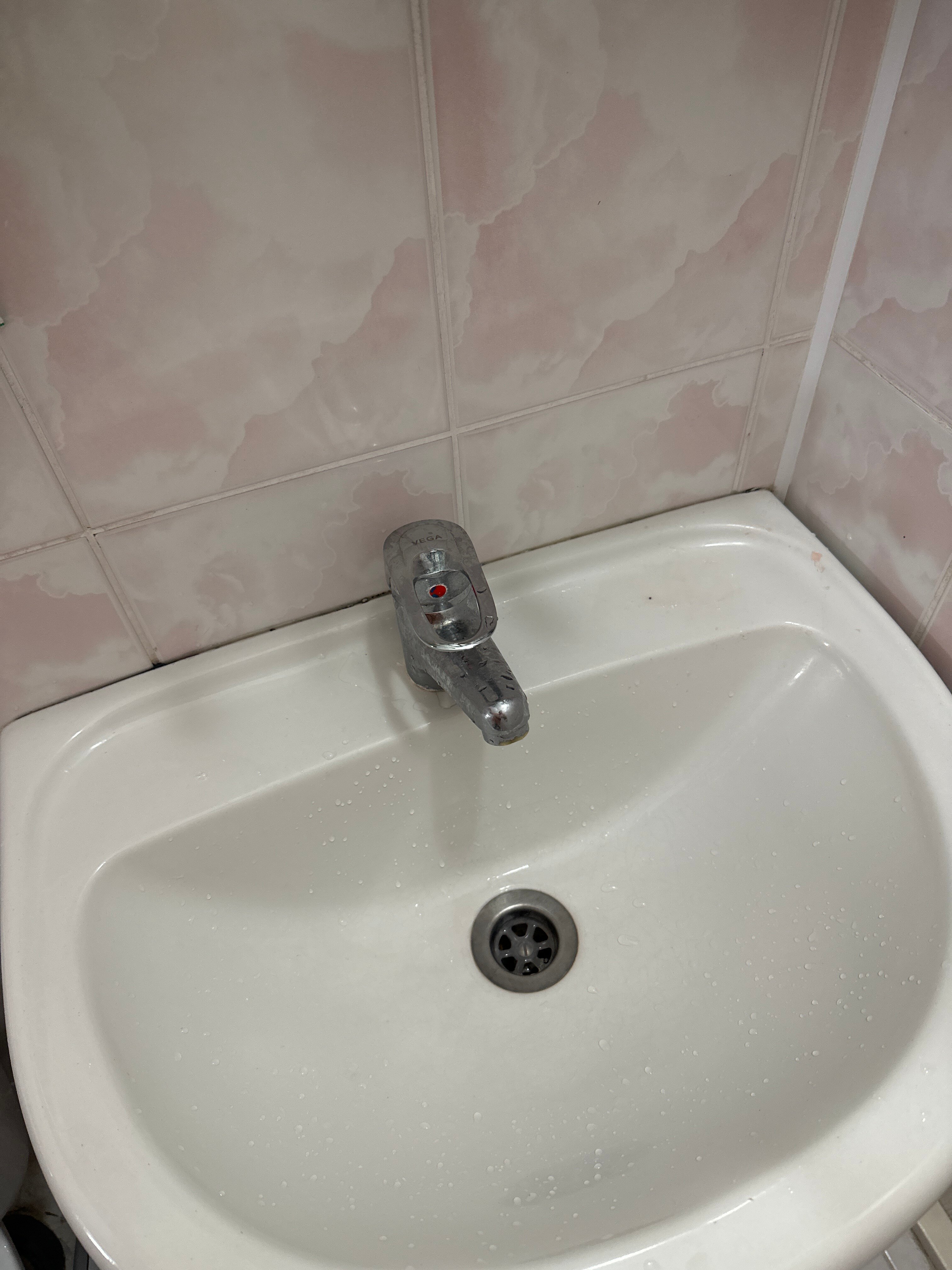 Фото Морская звезда