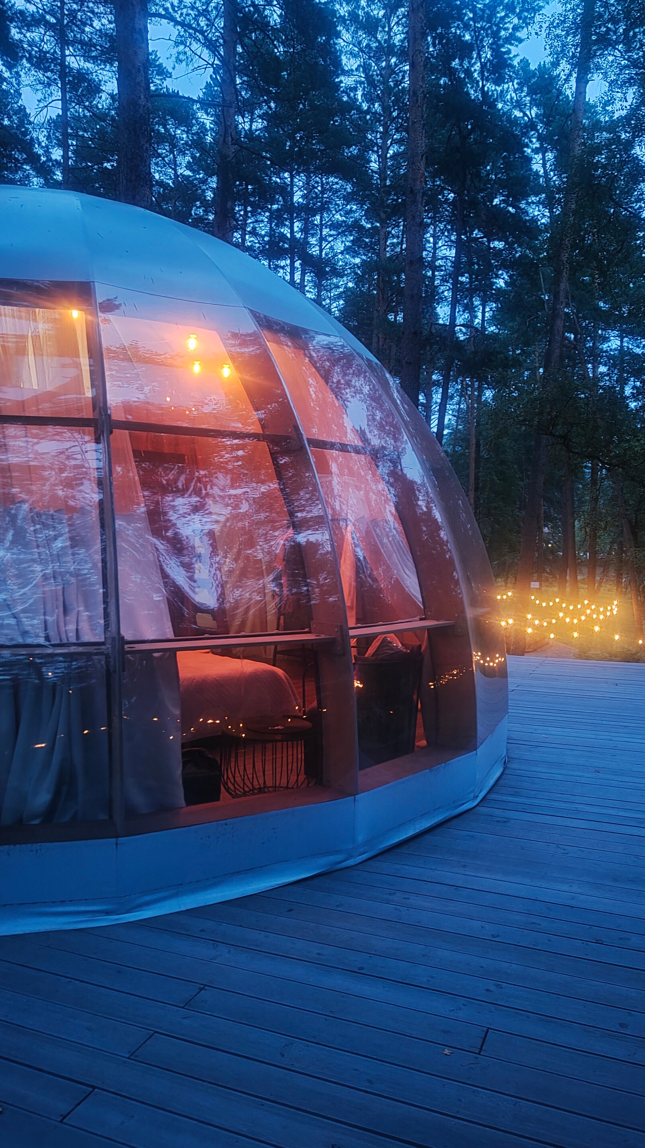 Фото Лесная Лагуна