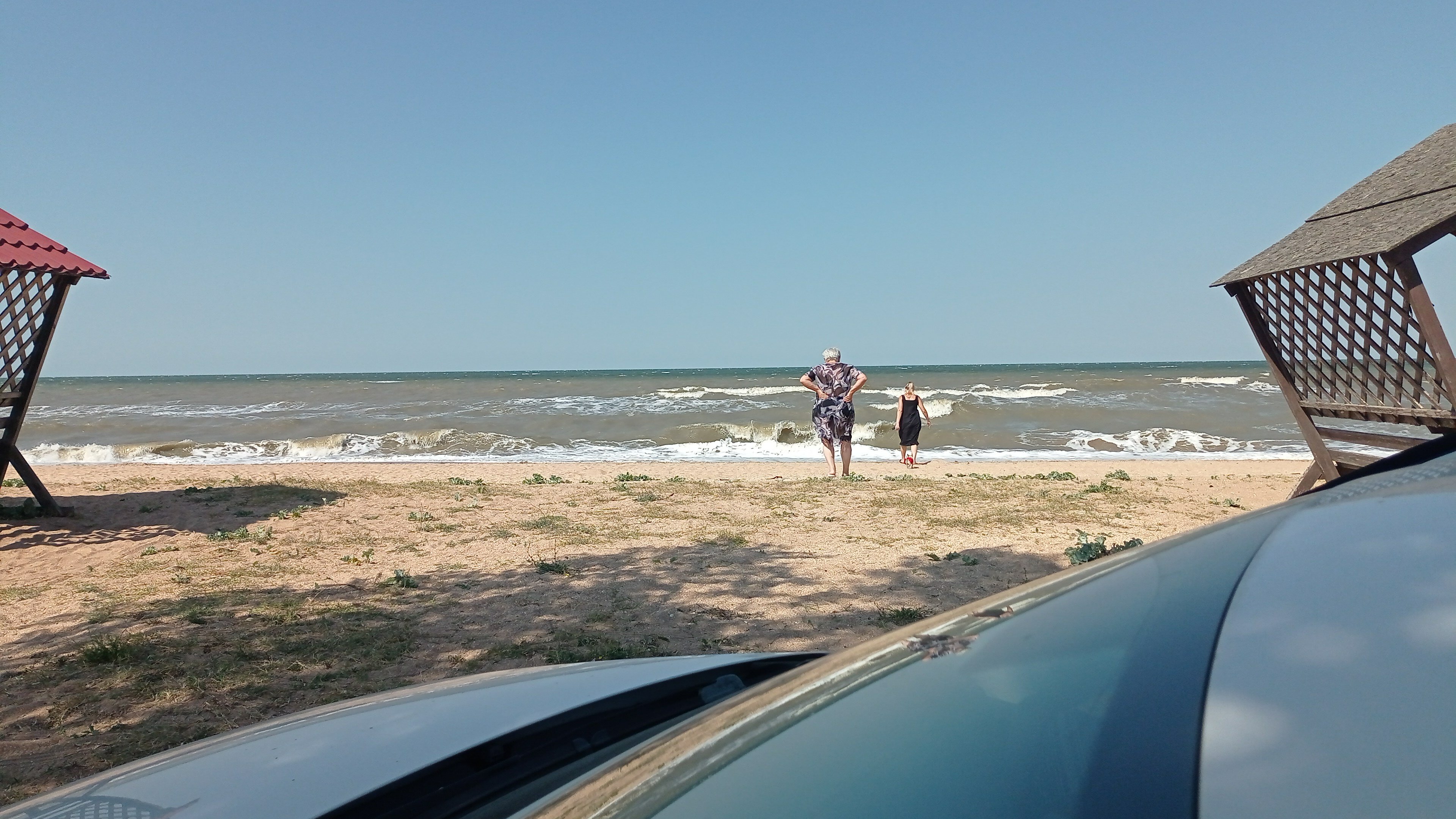 Фото У Петровича