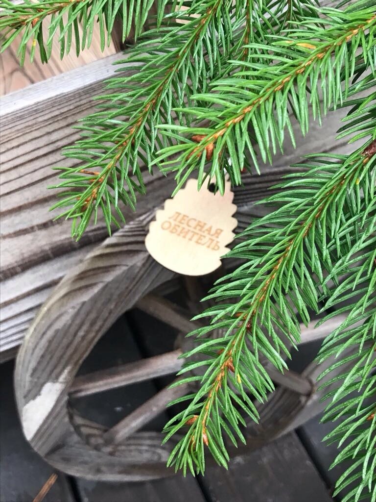 Фото Лесная обитель