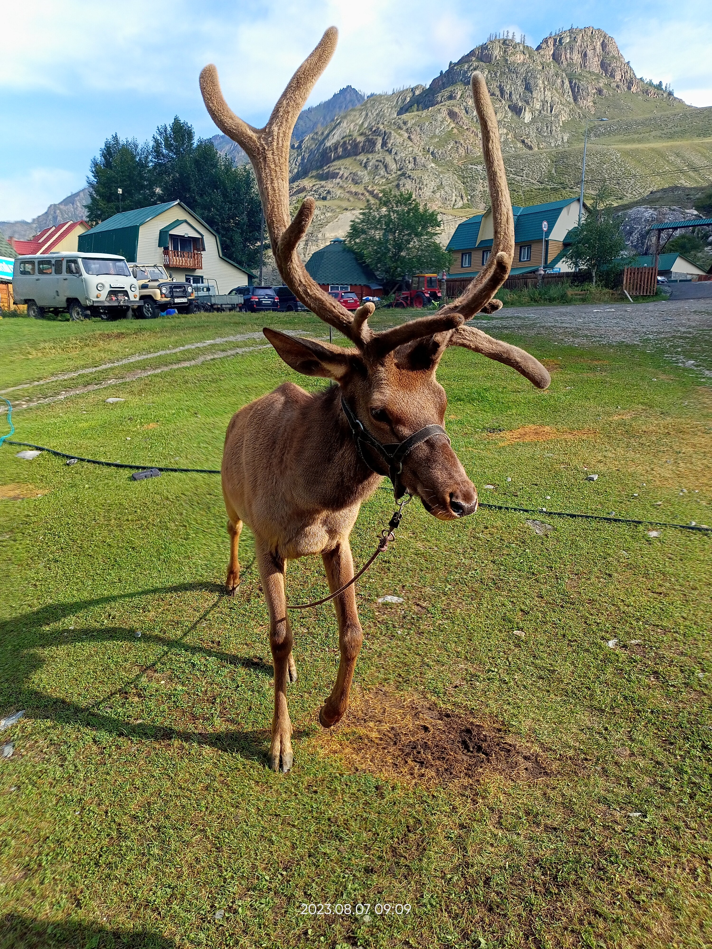 Фото Ак-Боом