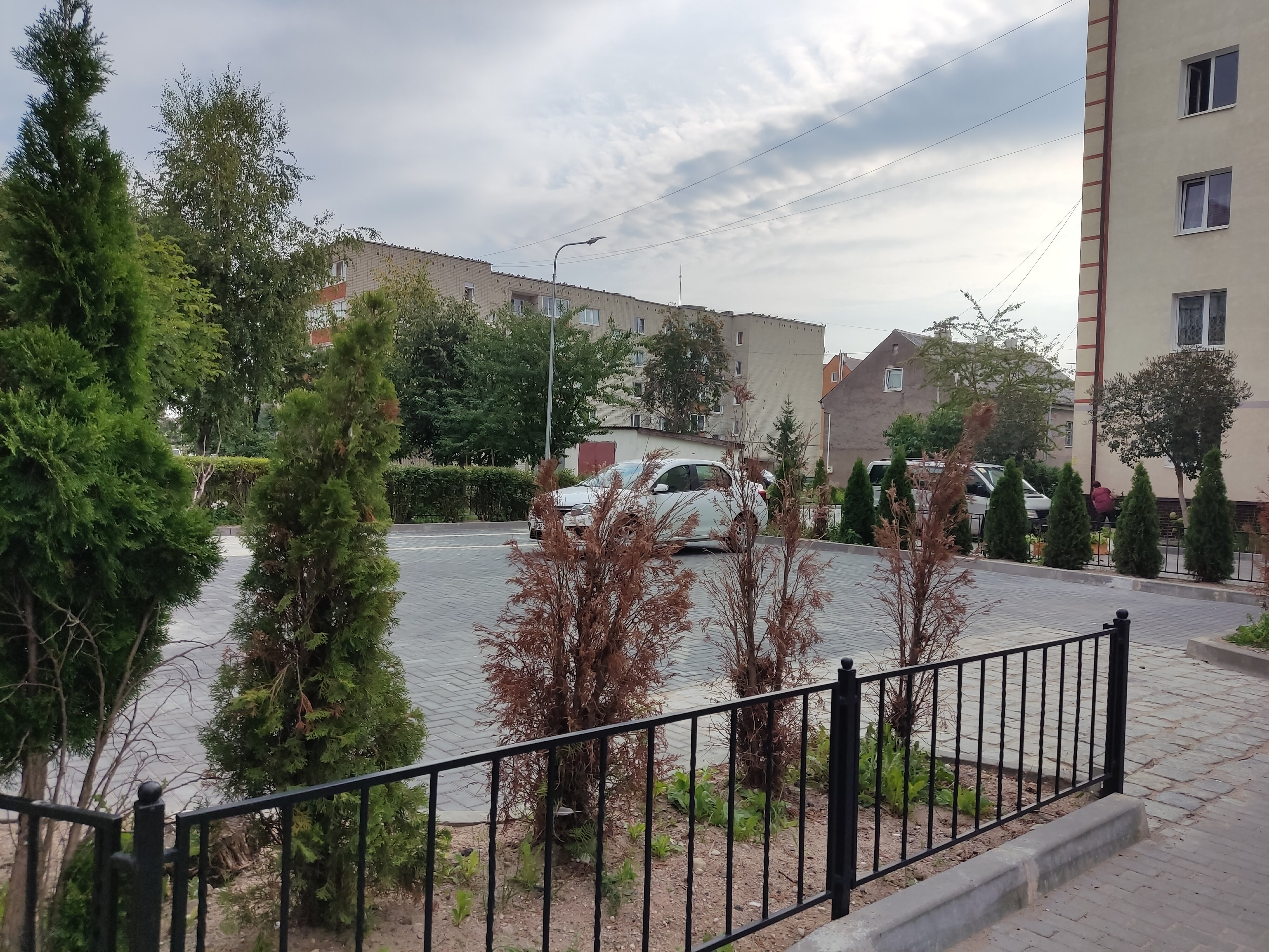 Фото Глория