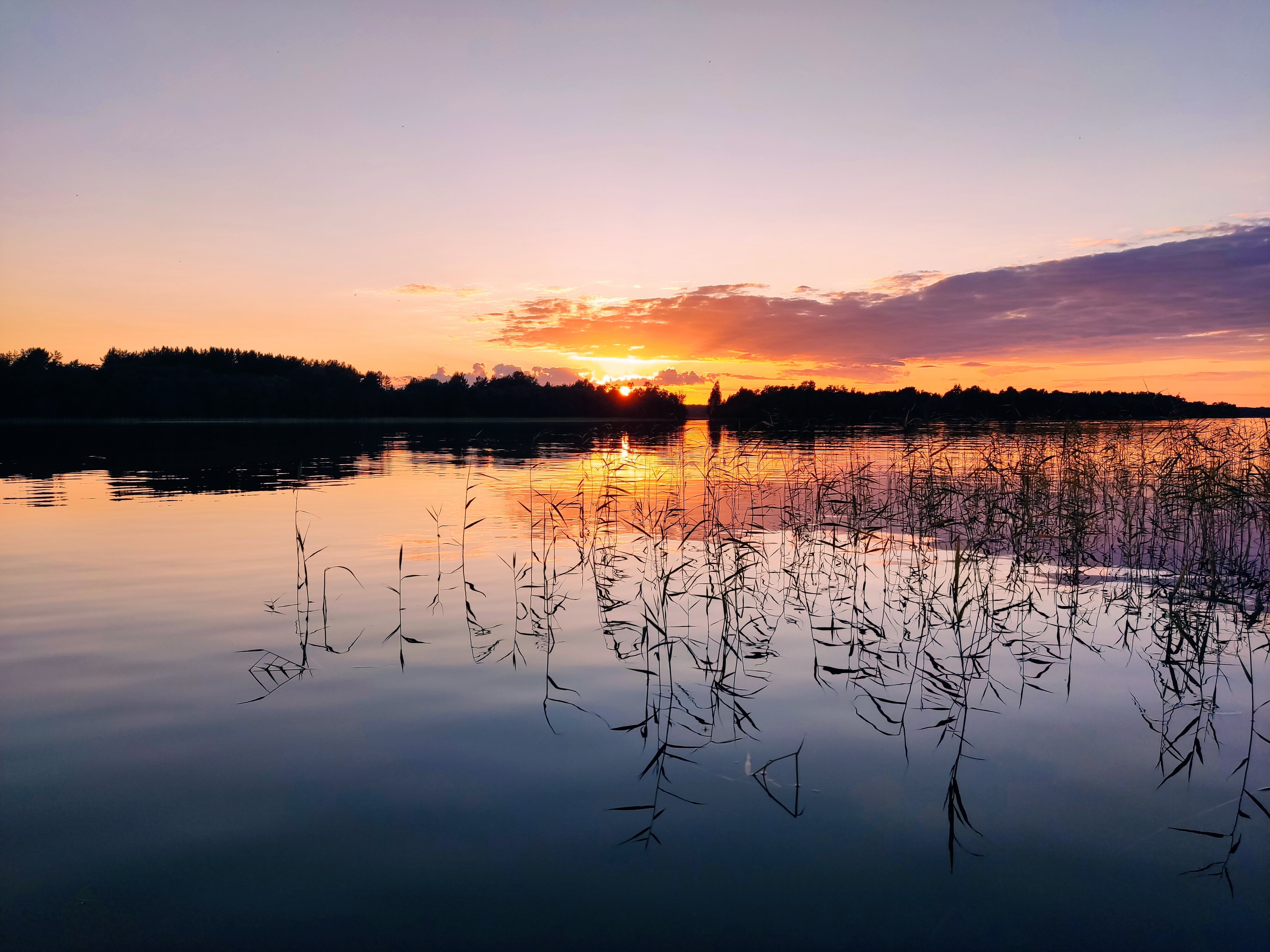 Фото Сеновал