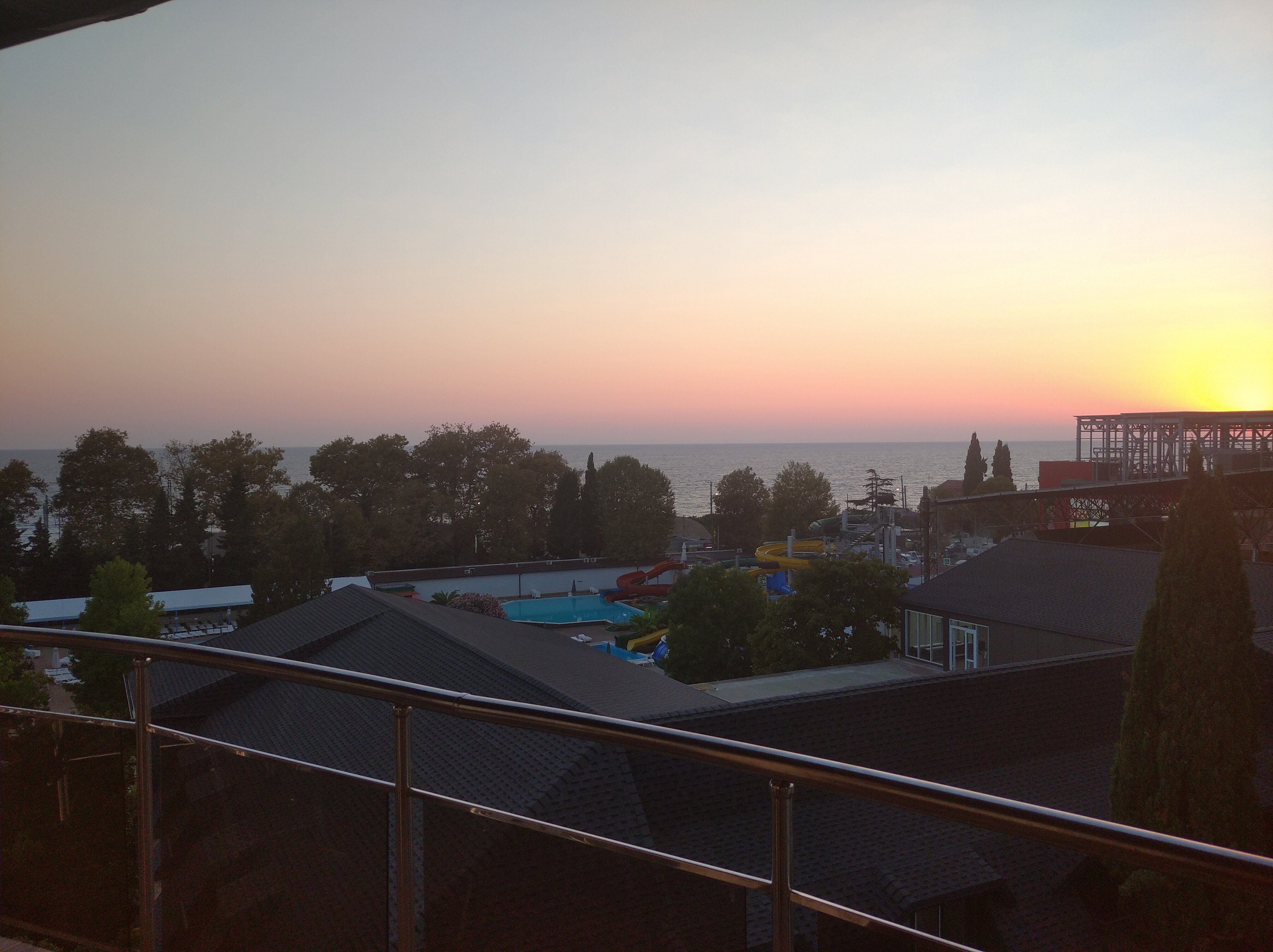 Фото Кардинал