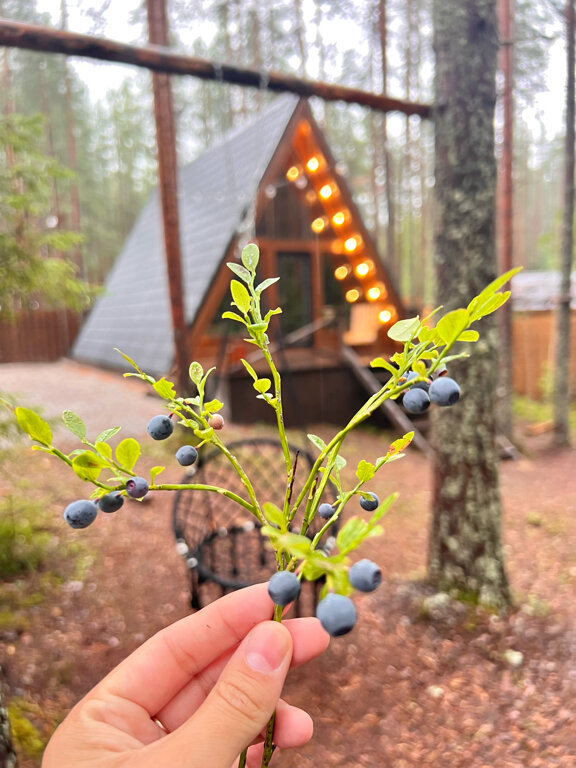 Фото Loft Home Карелия