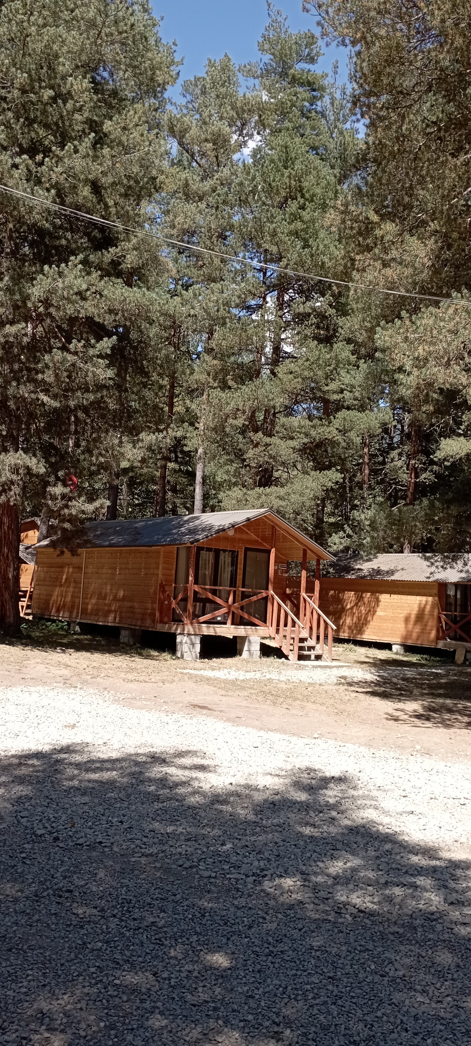 Фото Сосновый бор