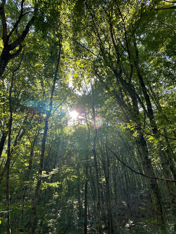 Фото Рич Хаус