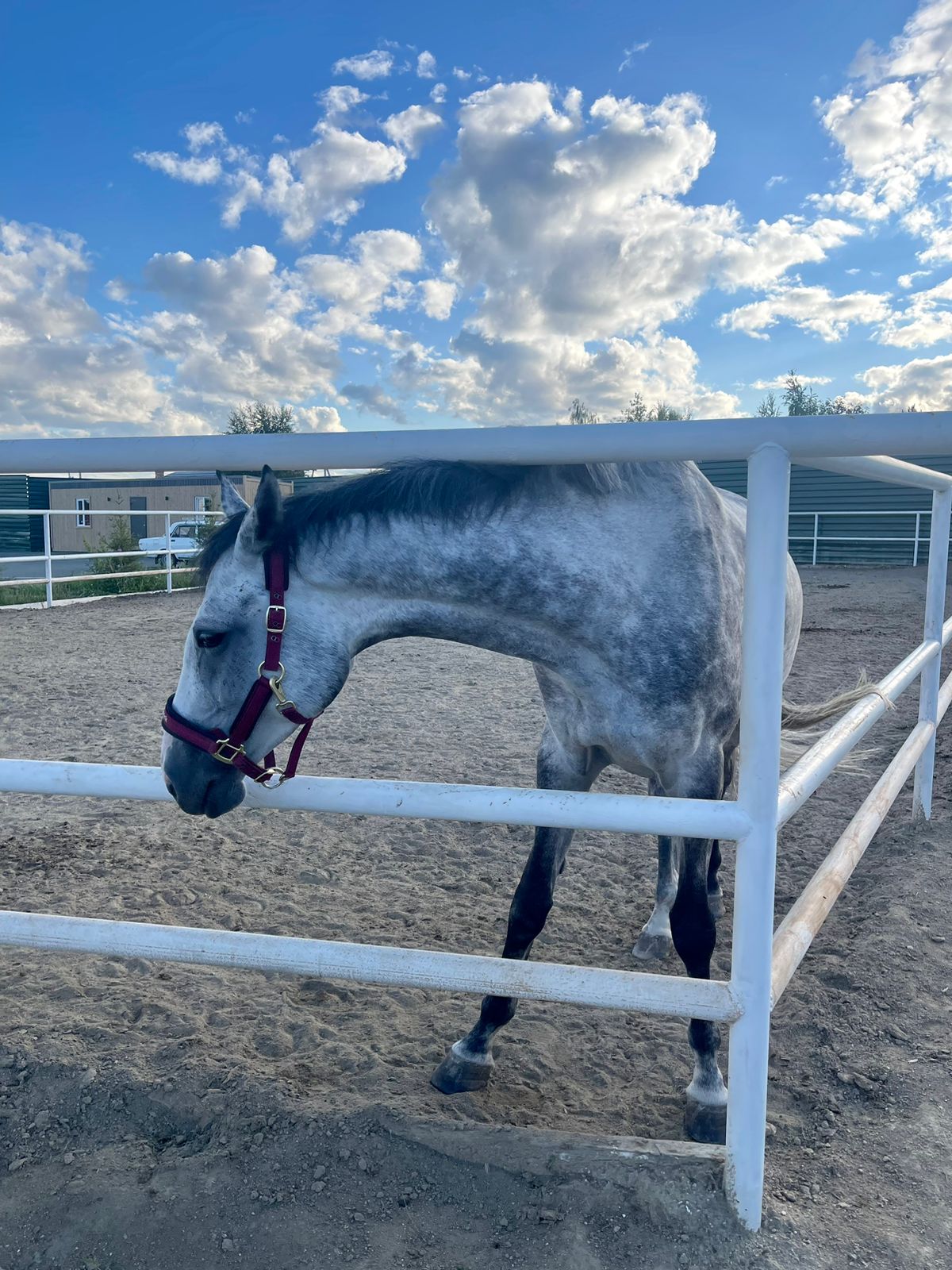 Фото Задубравье