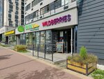 Max-Service (Zolotistiy Boulevard, 4), phone repair