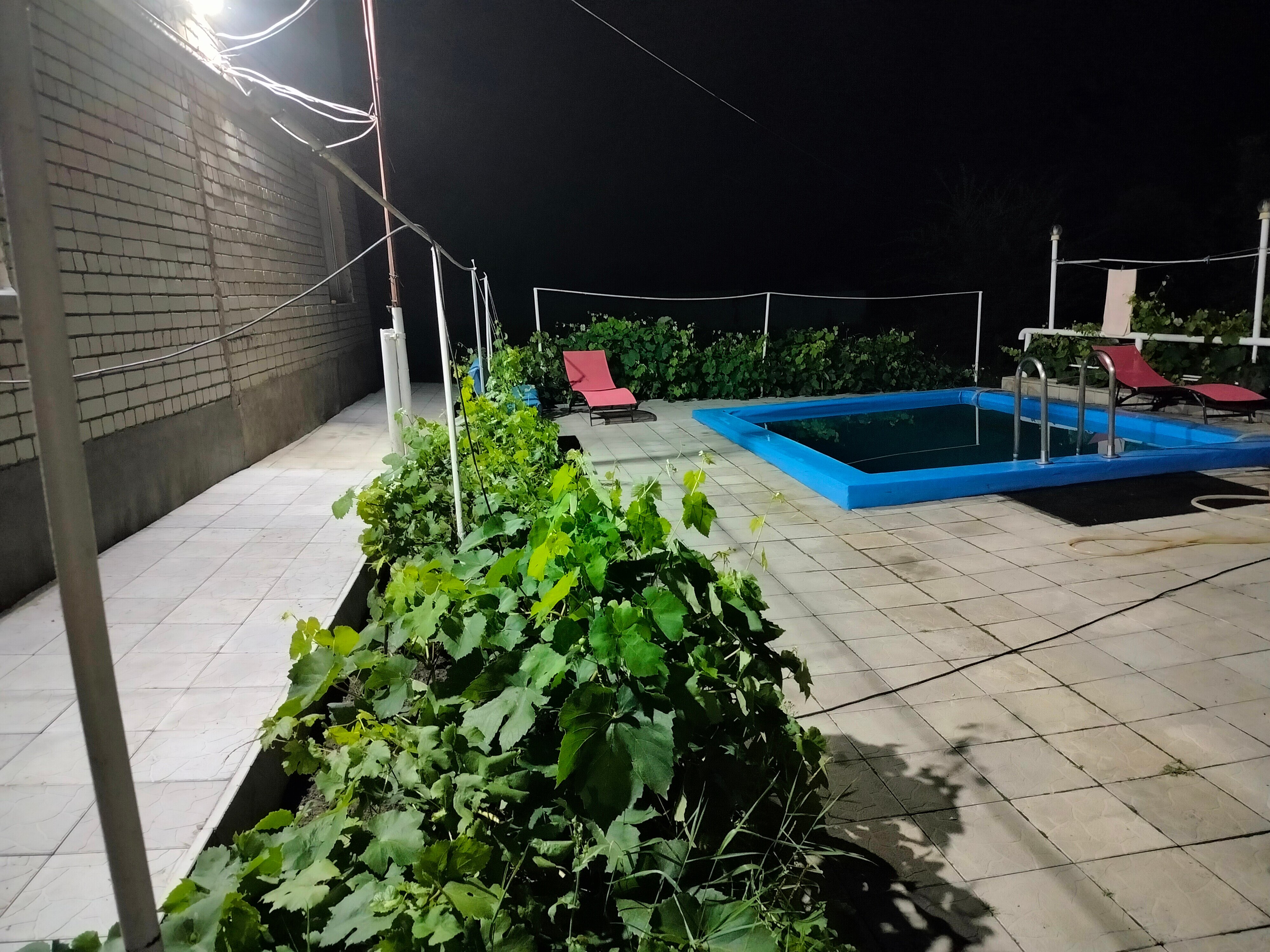 Фото Сосновая Стрит