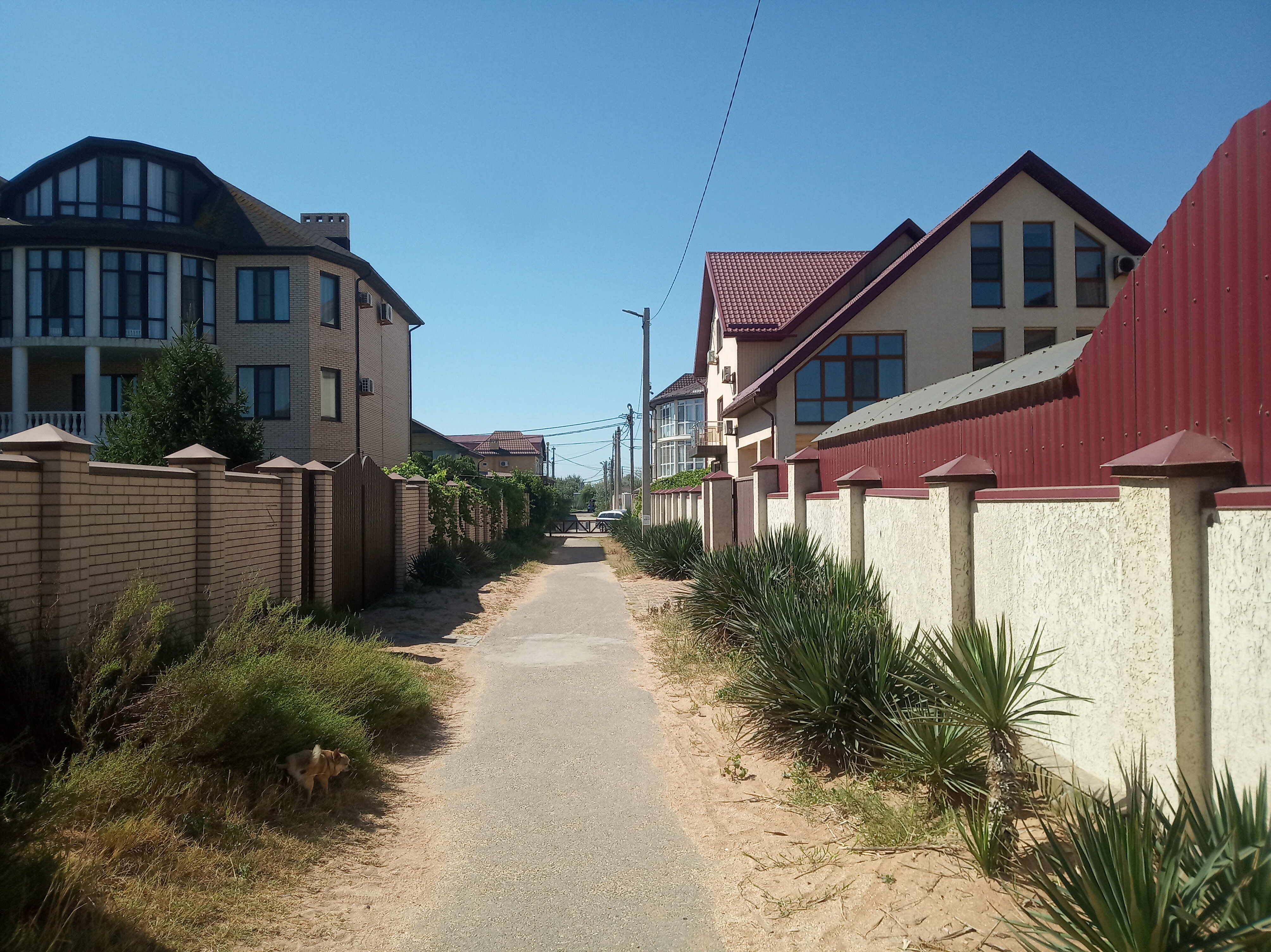 Фото Белая дача