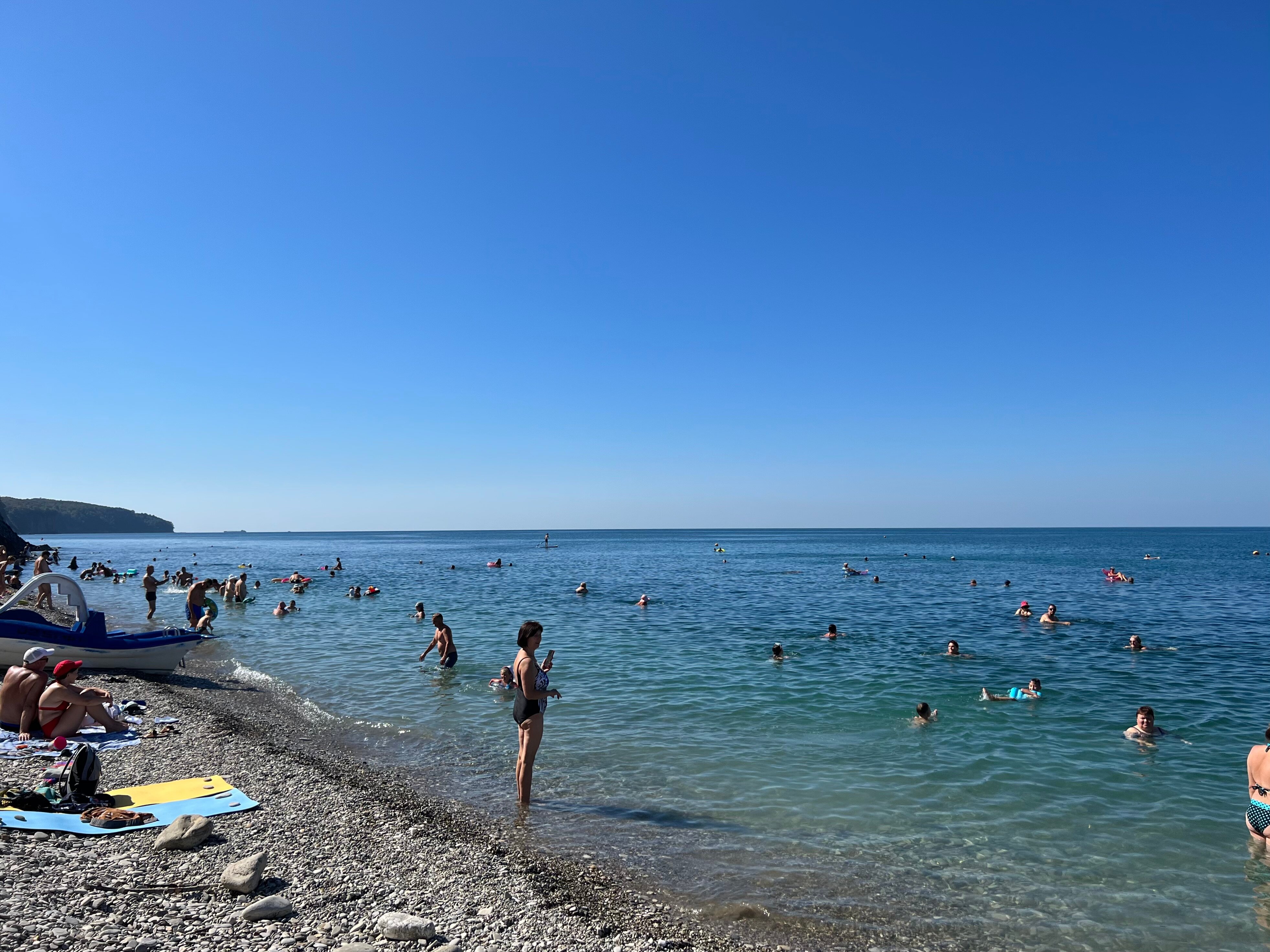 Фото Ежевика