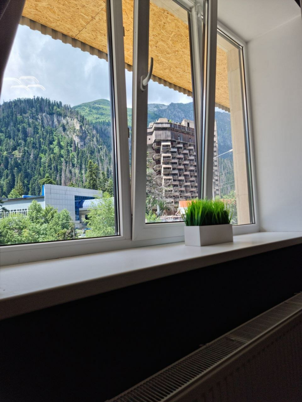 Фото У Заремы