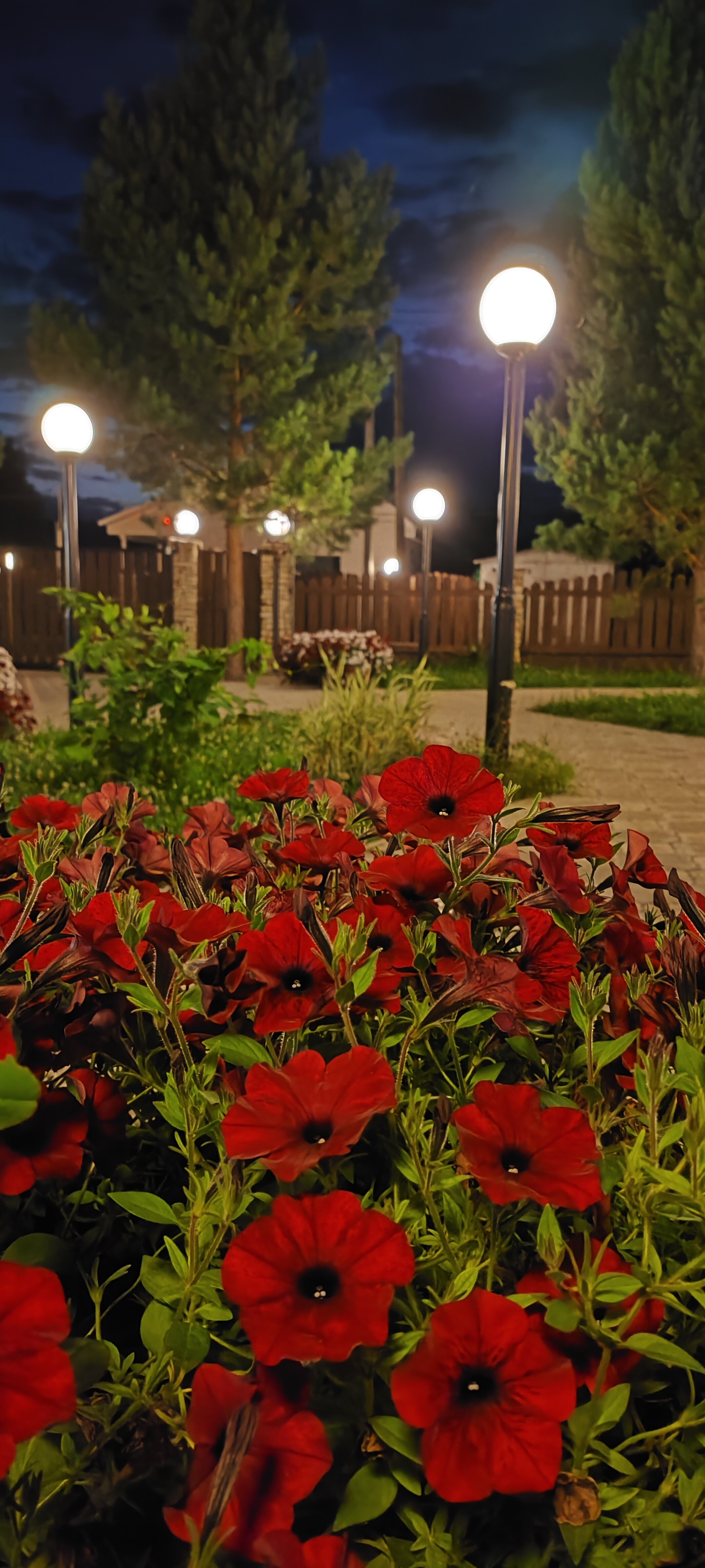 Фото АсылЪяр