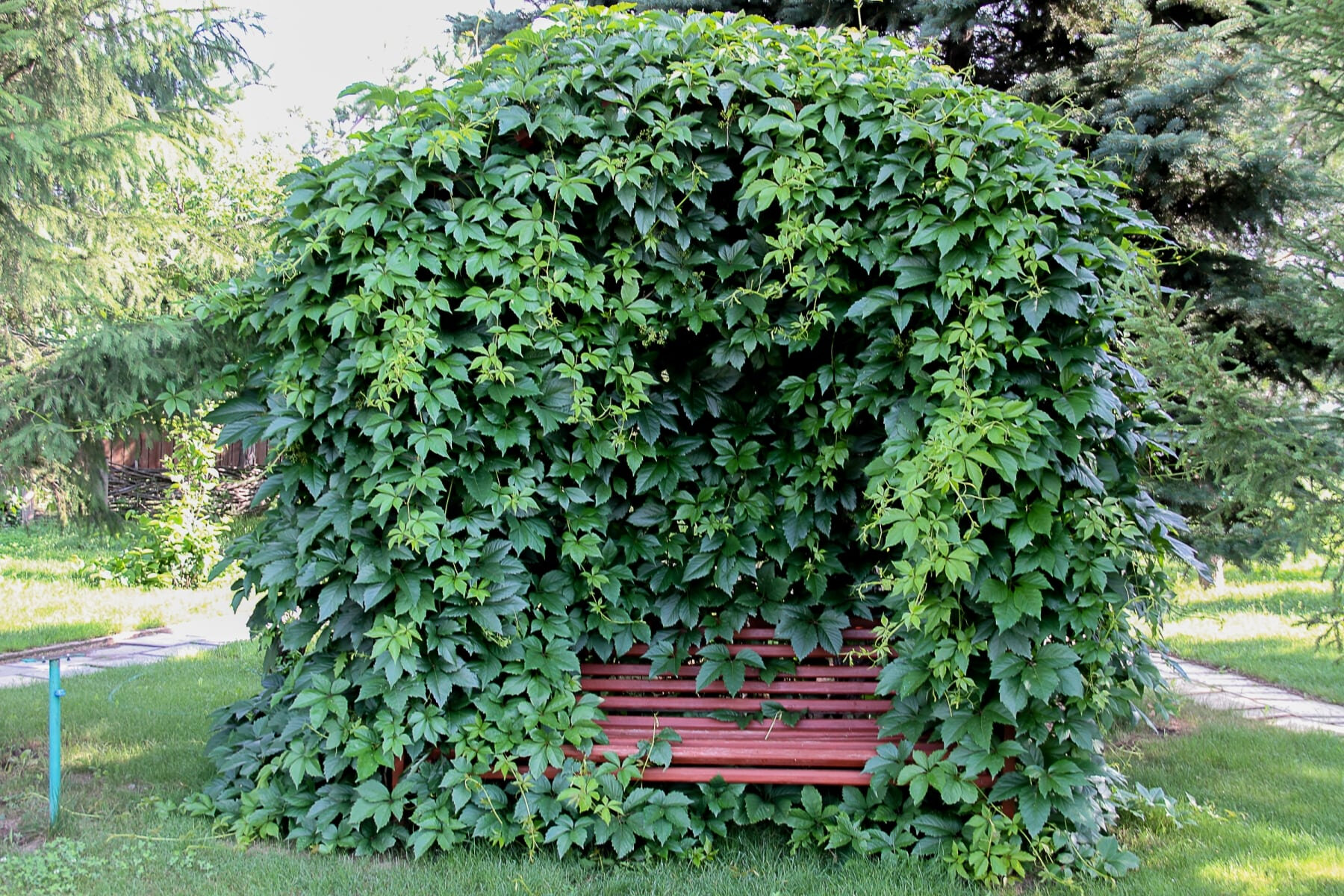 Фото Усадьба в Большекулачье