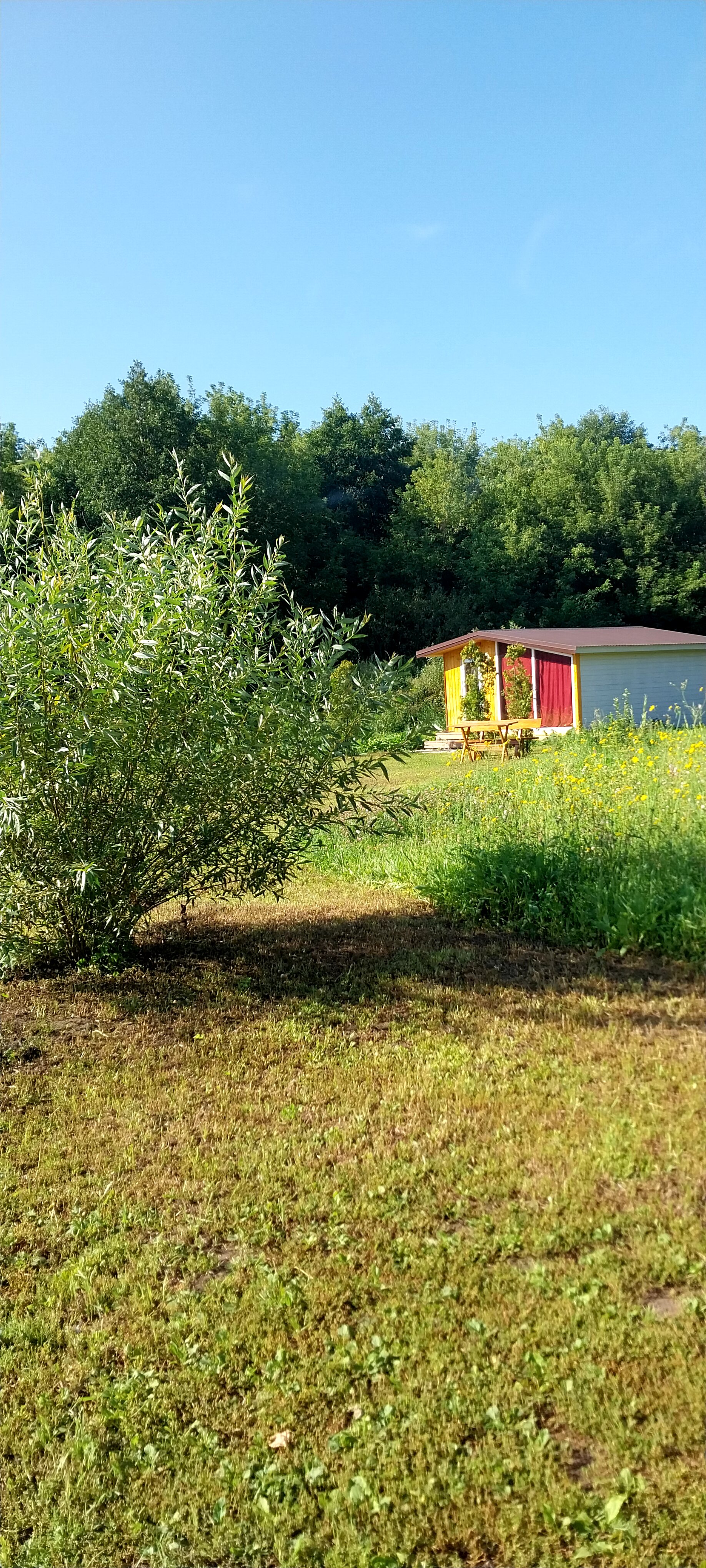 Фото Фактория