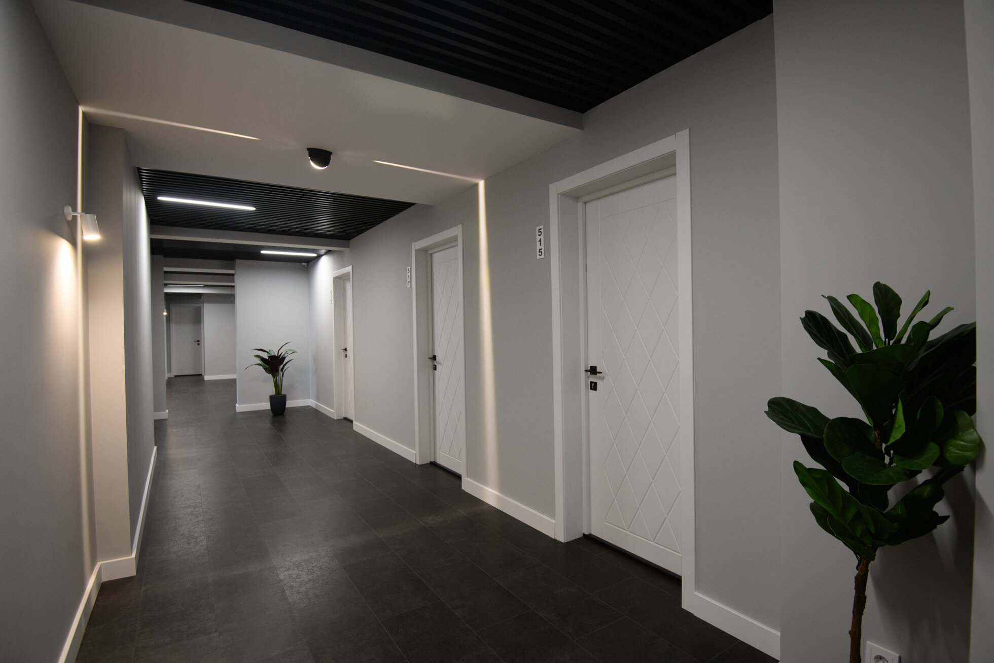 Фото Демократ на Краснопутиловской 111