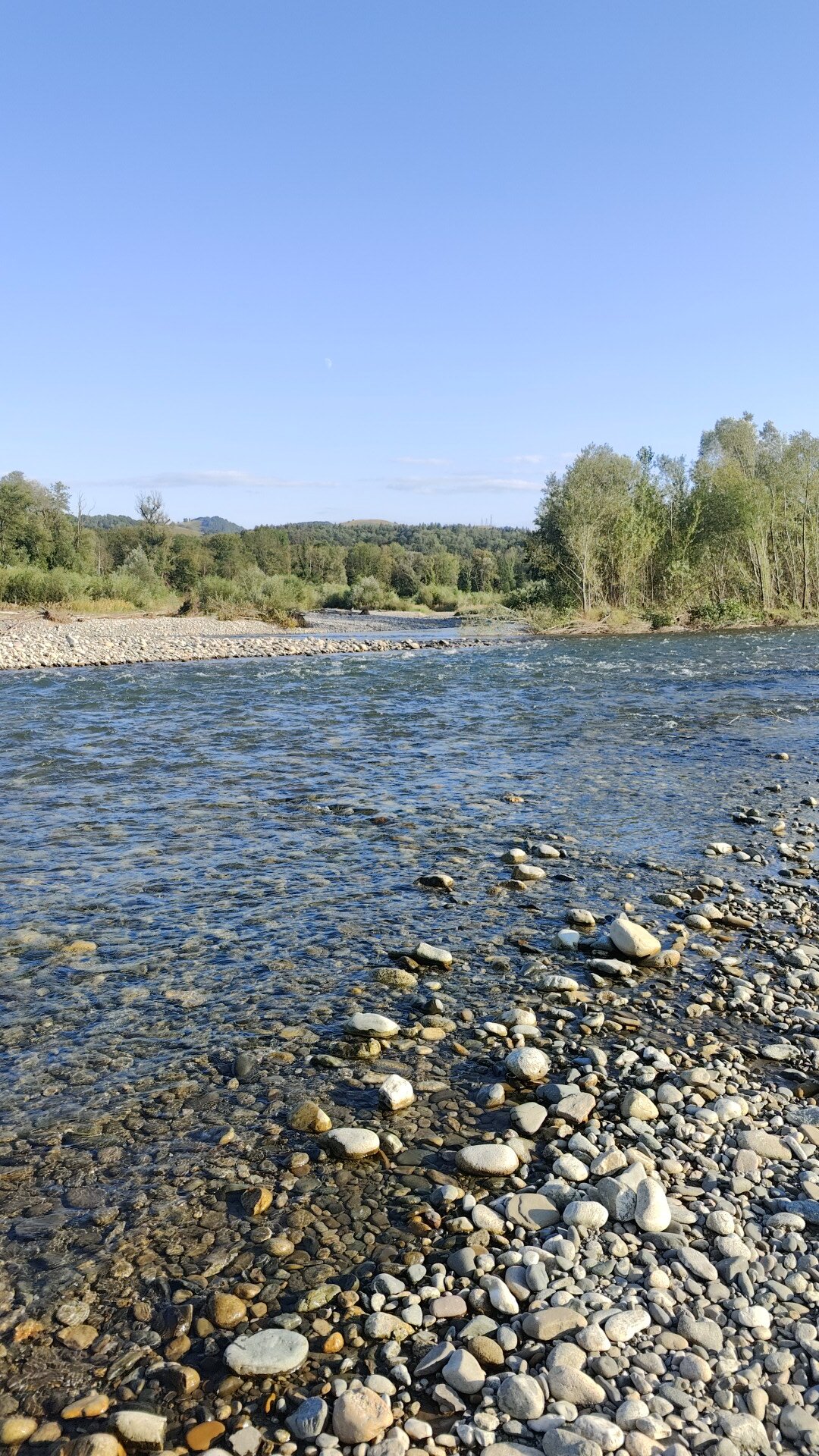 Фото Березки