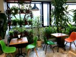 Кафе в Зимнем саду (Orekhoviy Boulevard, 28) ، مقهى