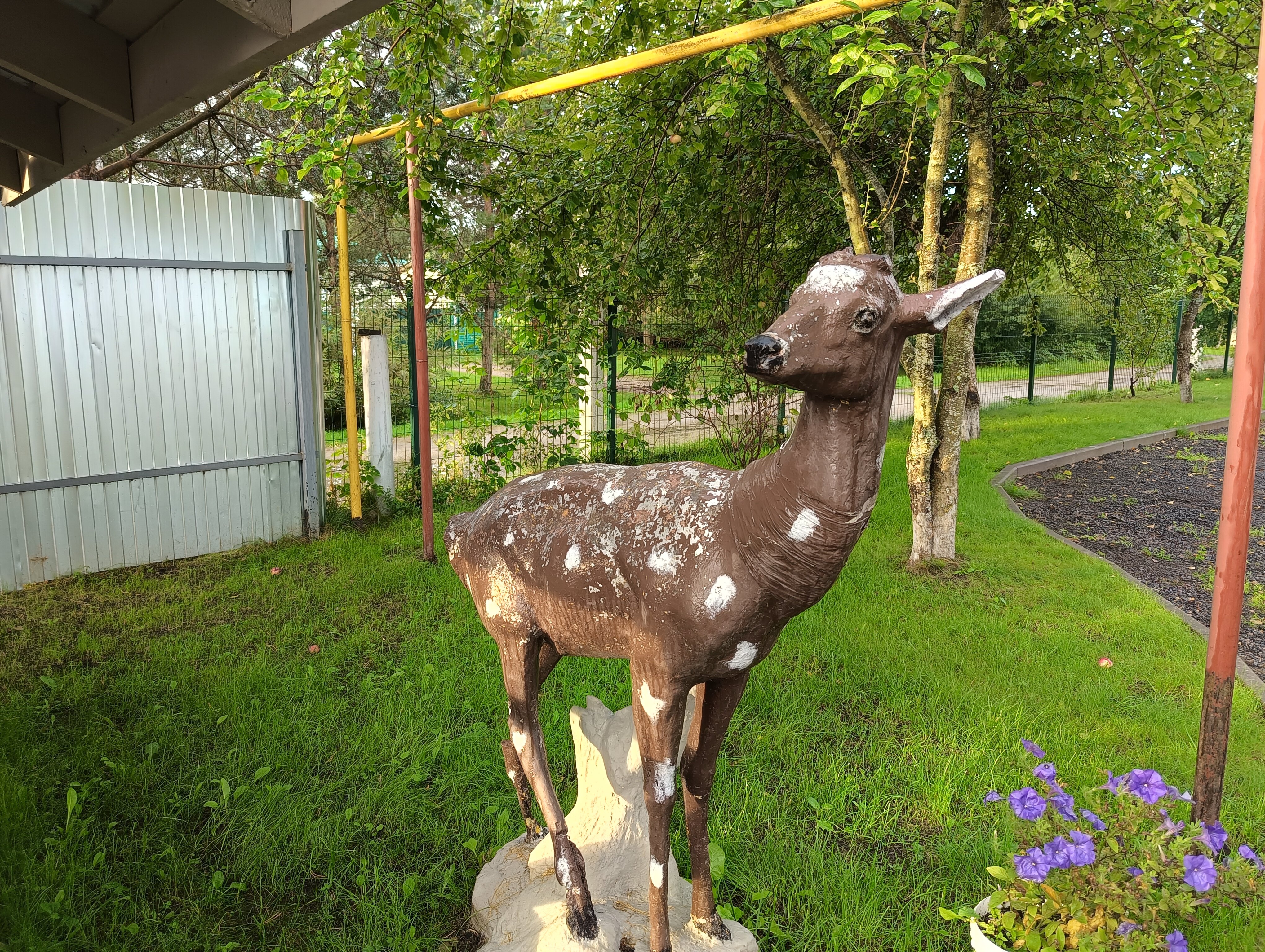 Фото Тимофеево