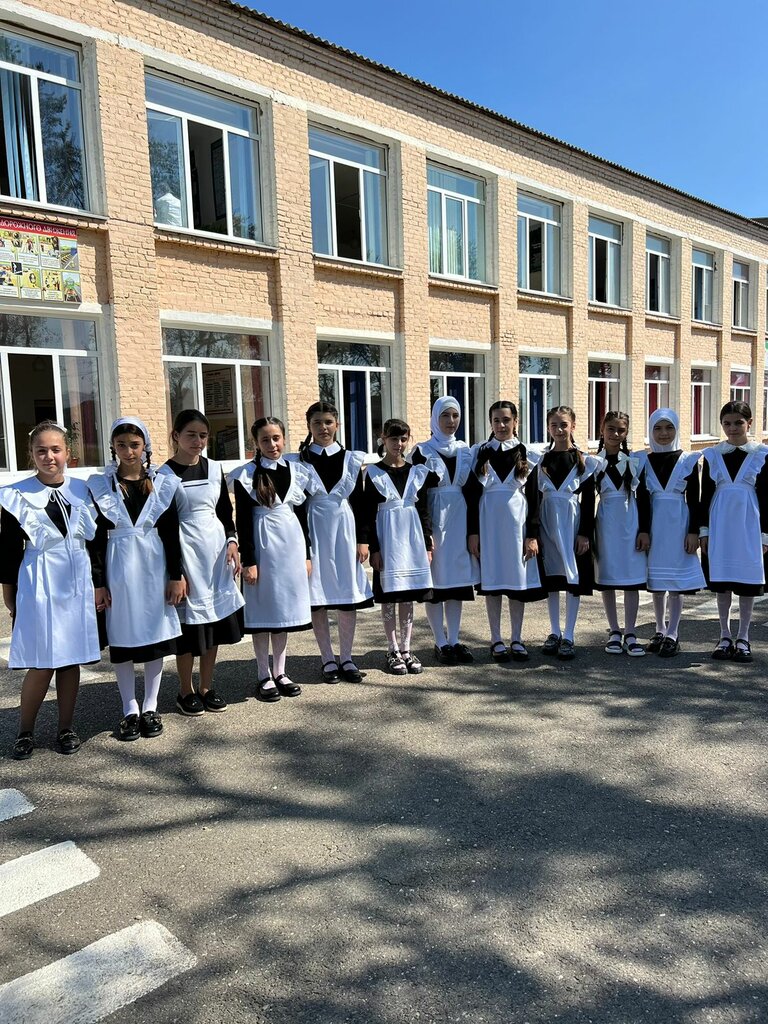 School Новочиркейская средняя общеобразовательная школа № 2, Republic of Dagestan, photo