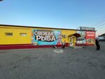Копейка-рубль бережет (rabochiy posyolok Ust-Abakan, Sportivnaya ulitsa, 2), fish and seafood