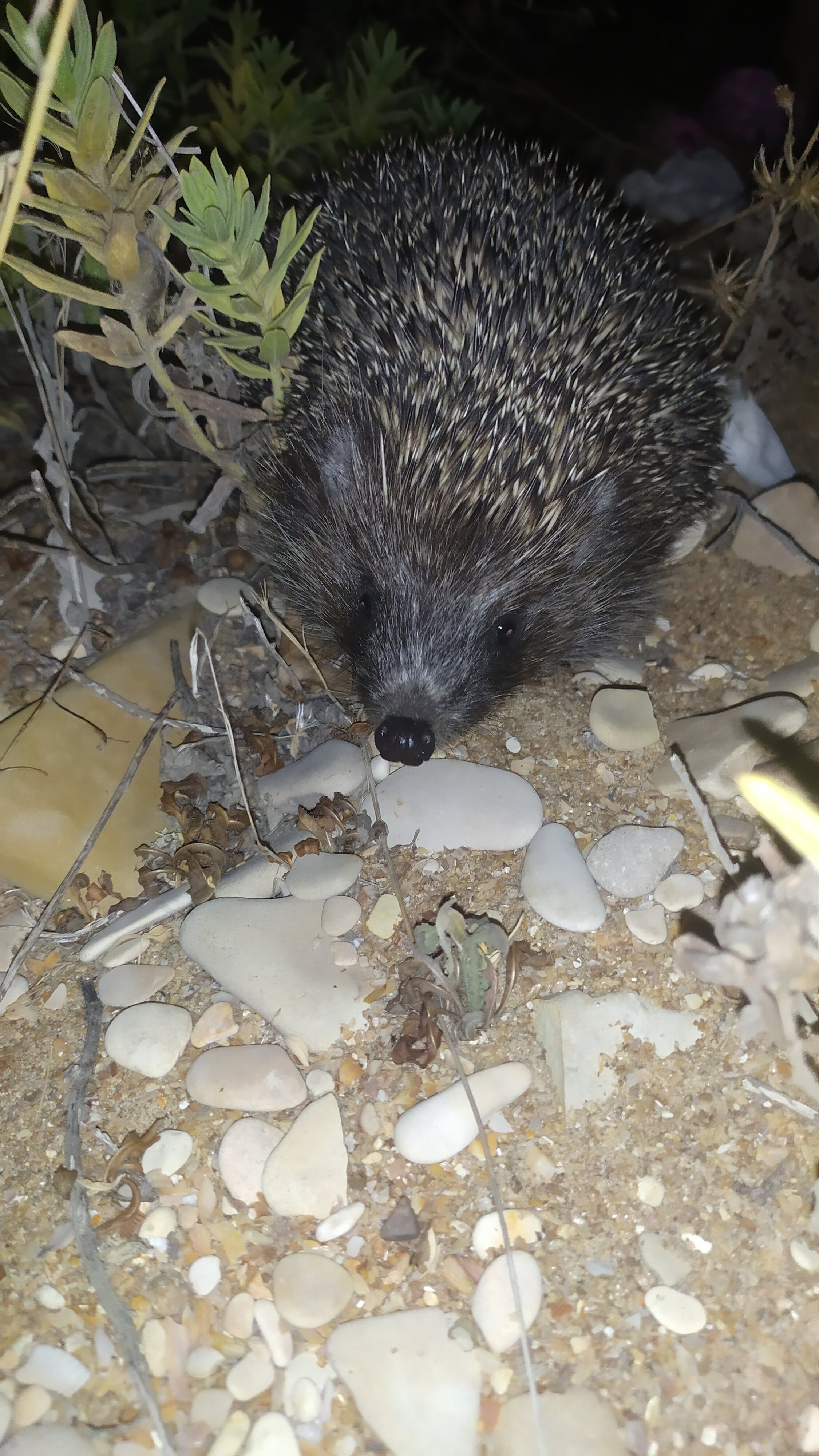 Фото Морская Бухта