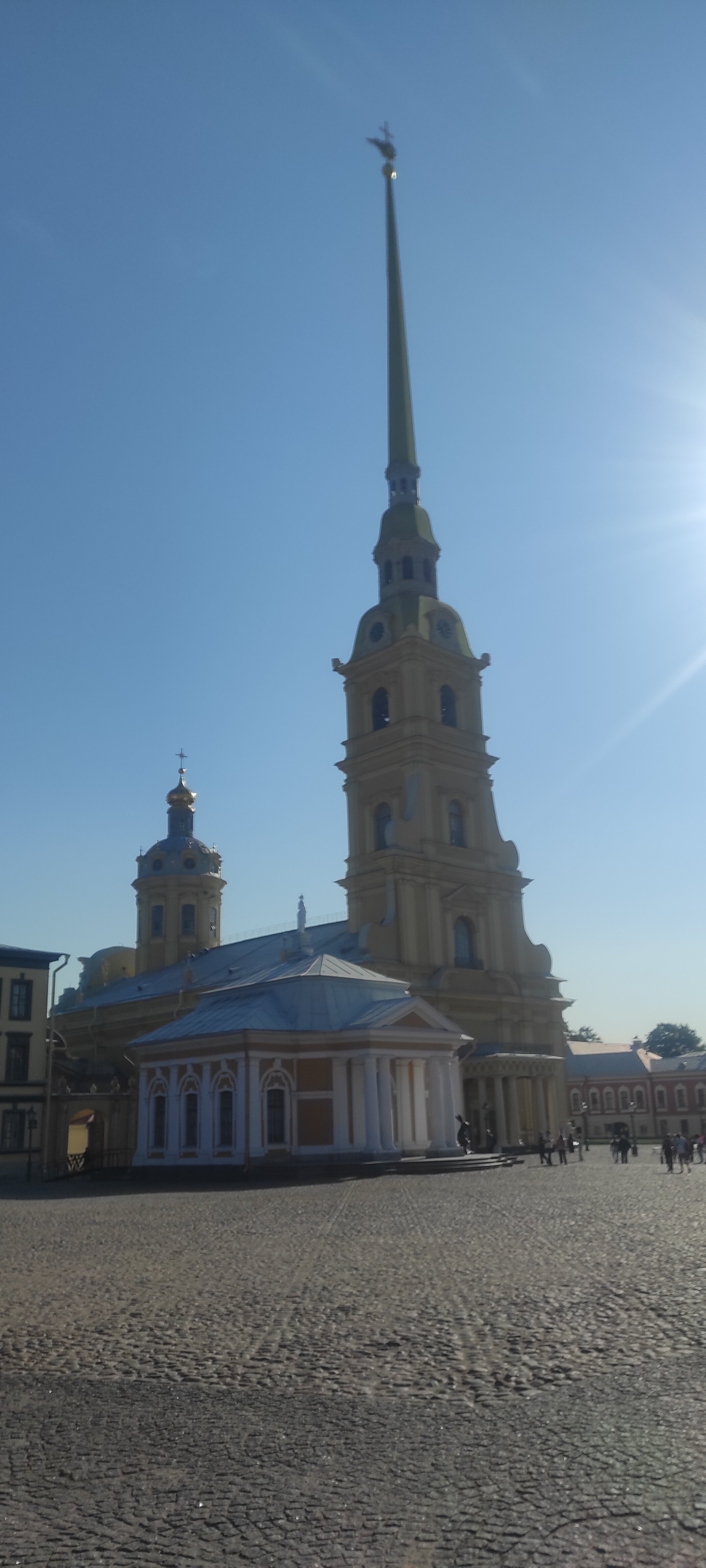 Фото Невский Астер